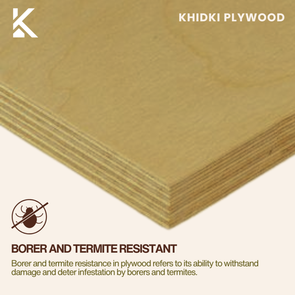 Different Types of Plywood Available in India and Their Applications