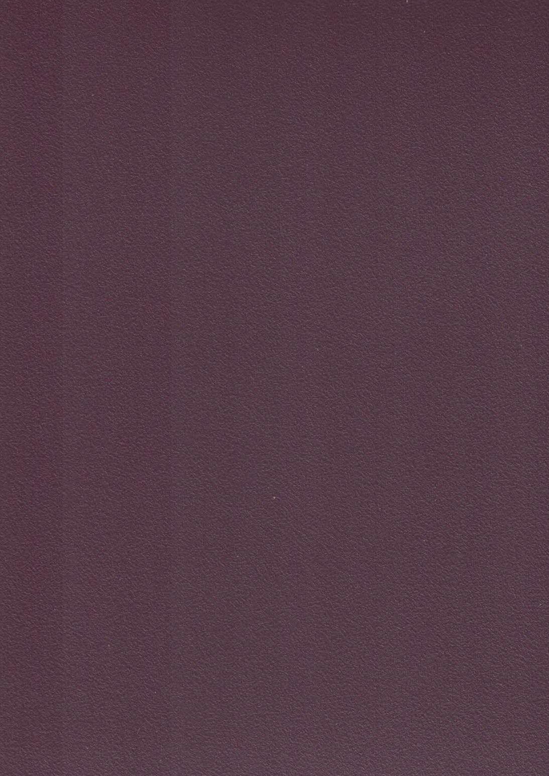 Saket Laminates - 412 - Crunch