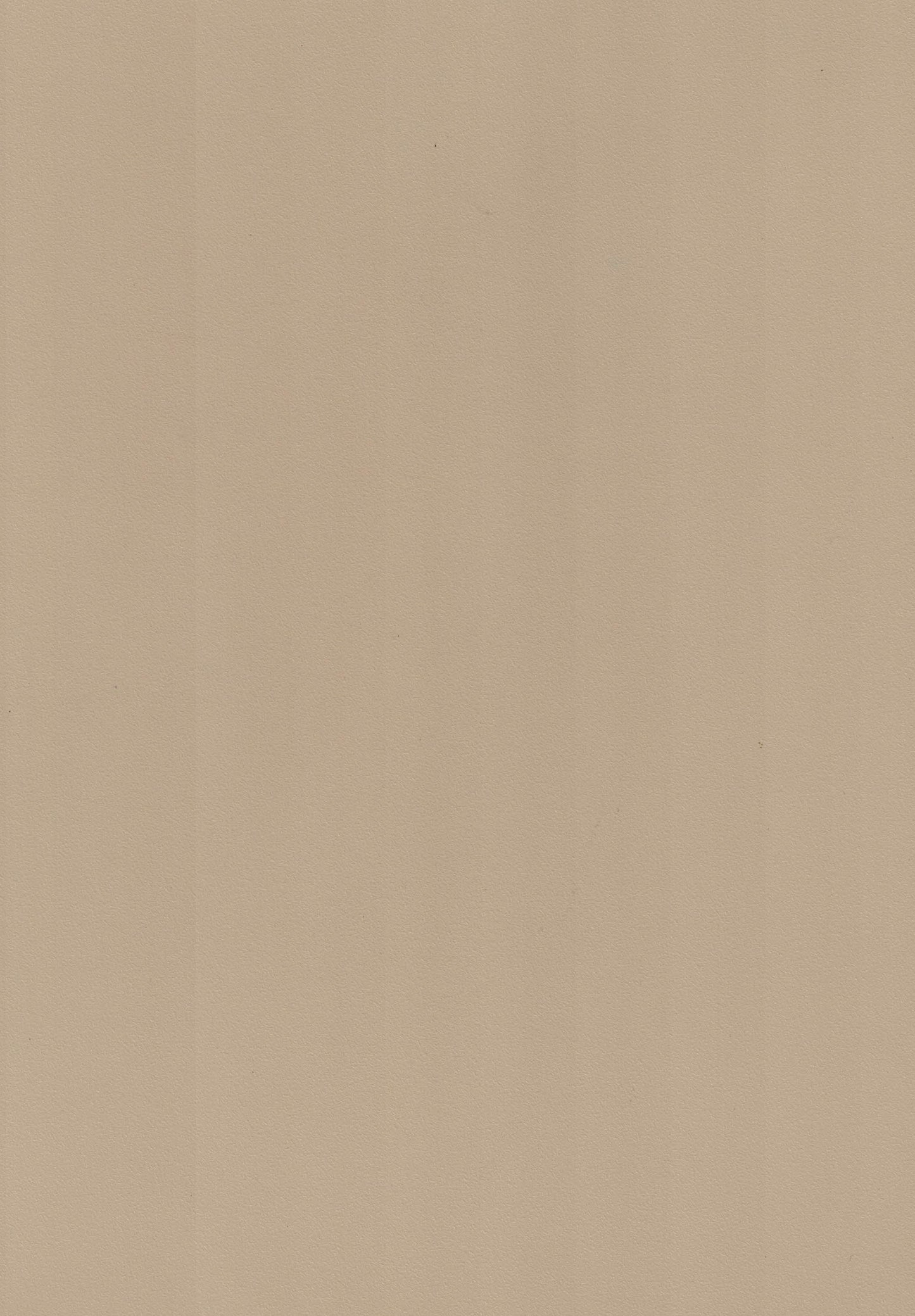 Saket Laminates - 424 - Doeskin