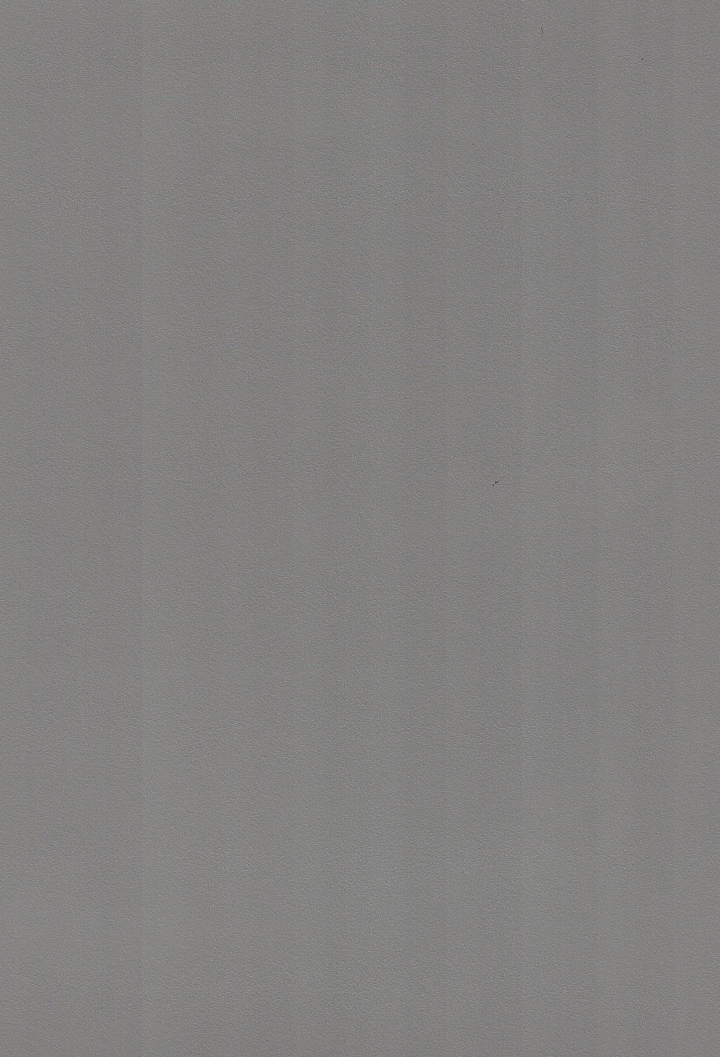 Saket Laminates - 426 - Ash Grey