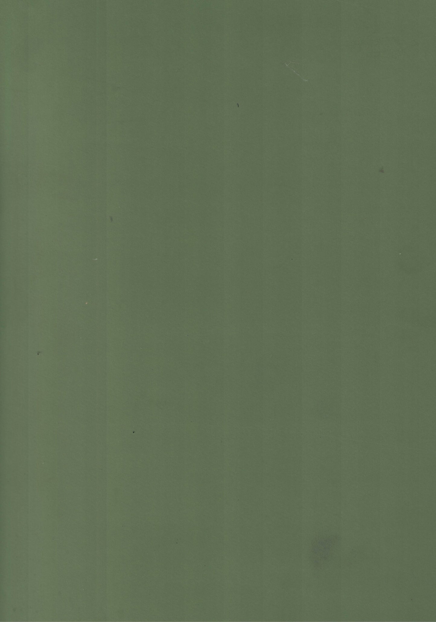 Saket Laminates - 433 - Eucalyptus Green