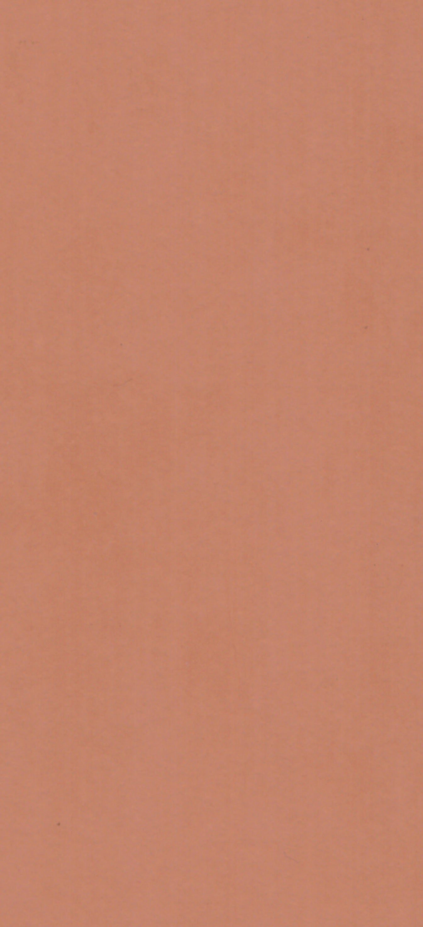 Saket Laminates - 440 - Spicy Mix