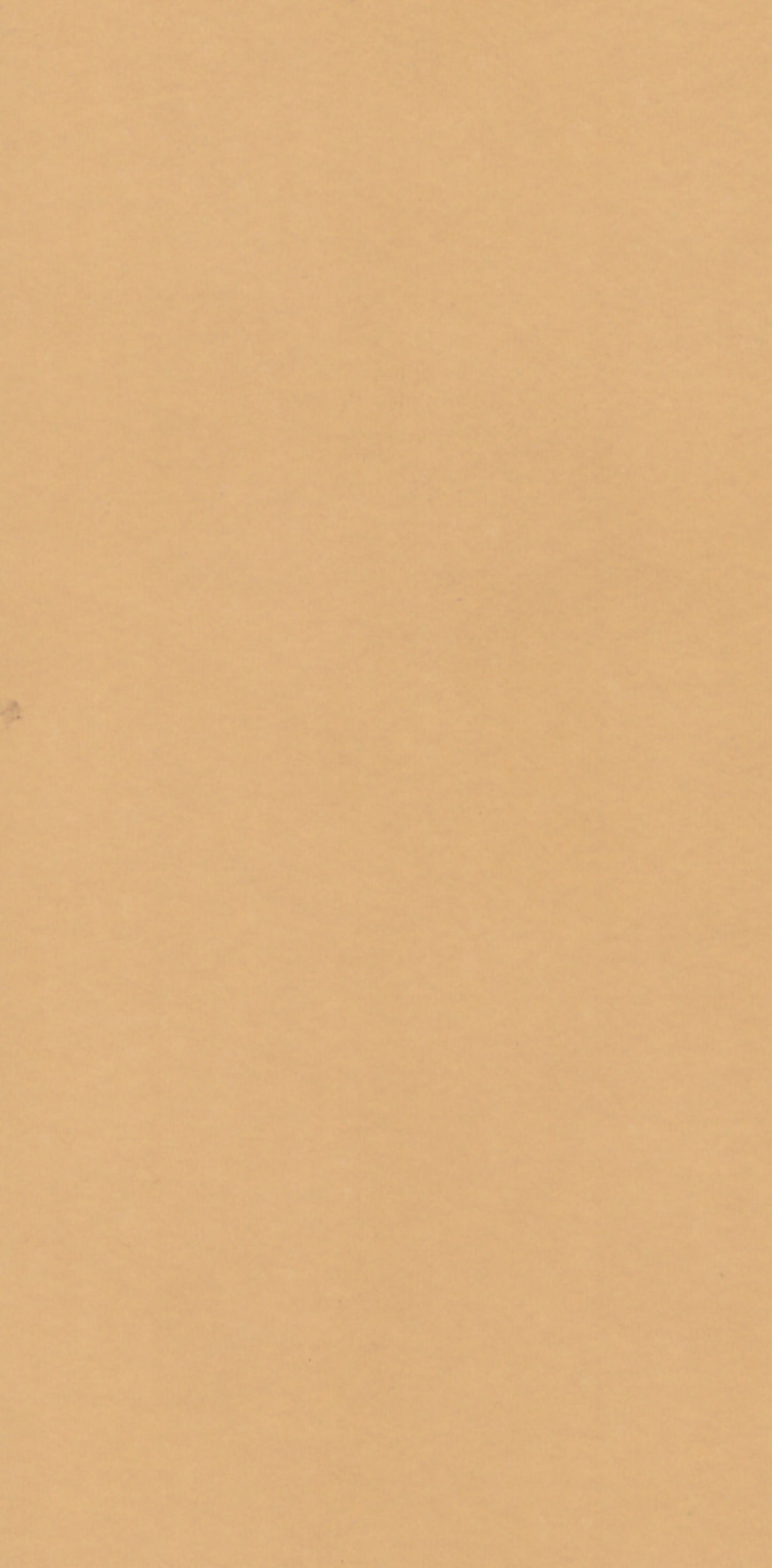 Saket Laminates - 441 - Pavlova