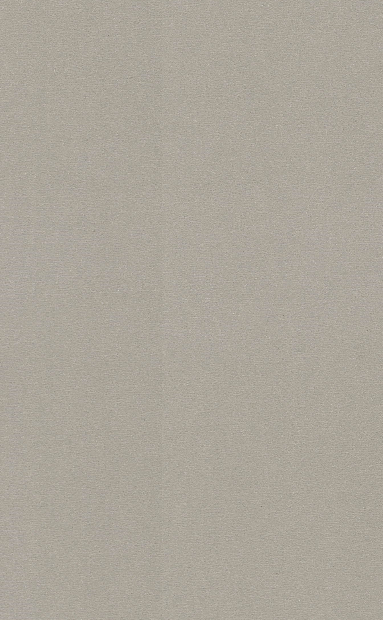 Saket Laminates - 444 - Irish Cream