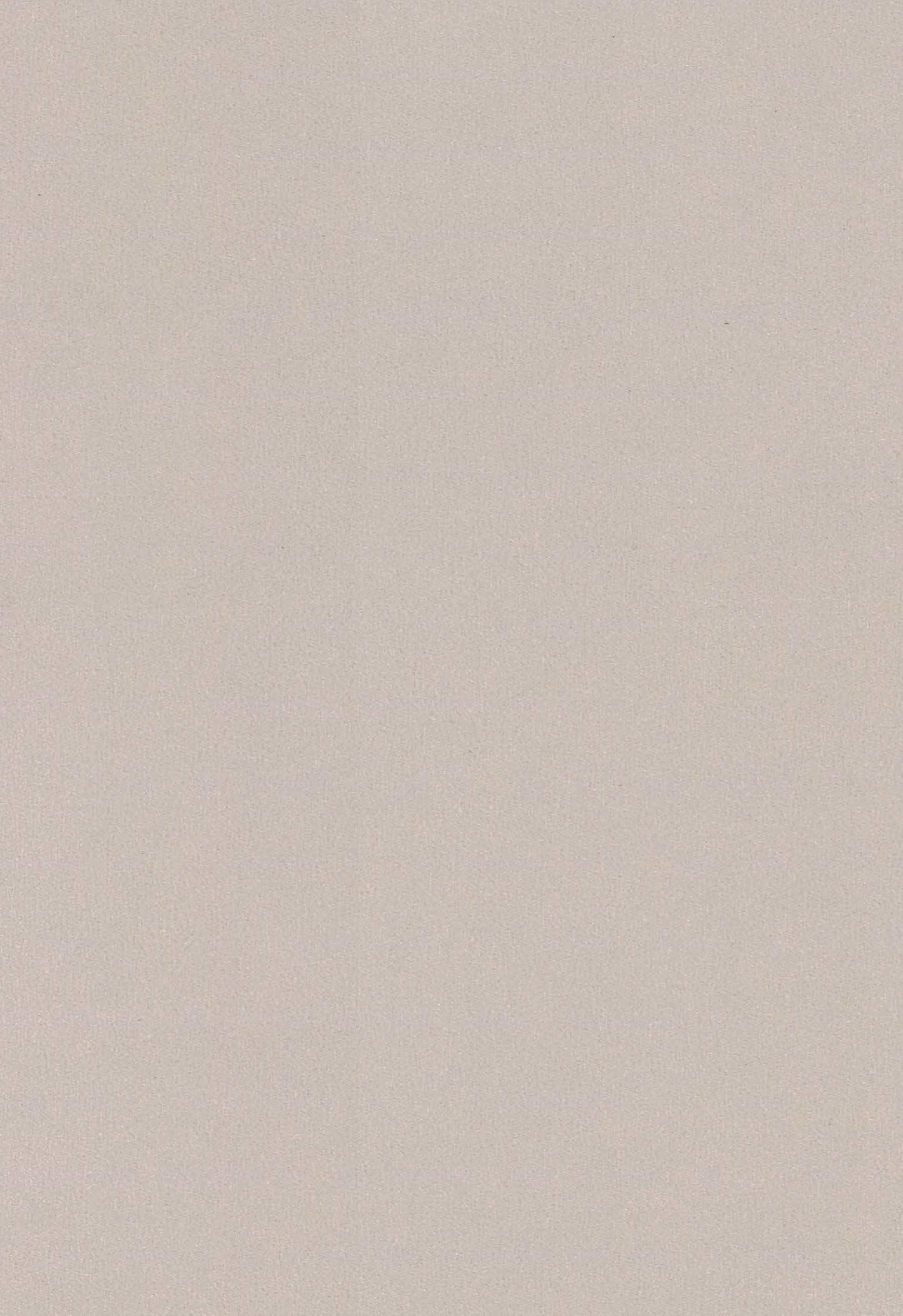 Saket Laminates - 446 - Metal Beige