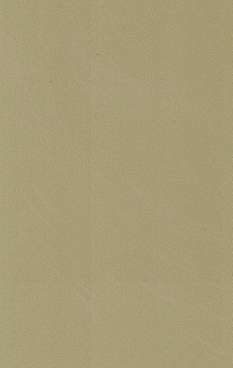 Saket Laminates - 488 - Khaki