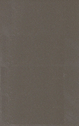 Saket Laminates - 489 - Pine Nut