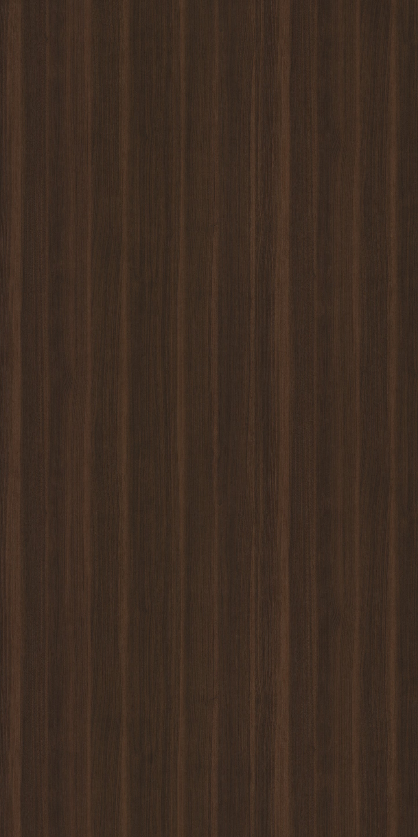 Saket Laminates - 504 - Amber Wood