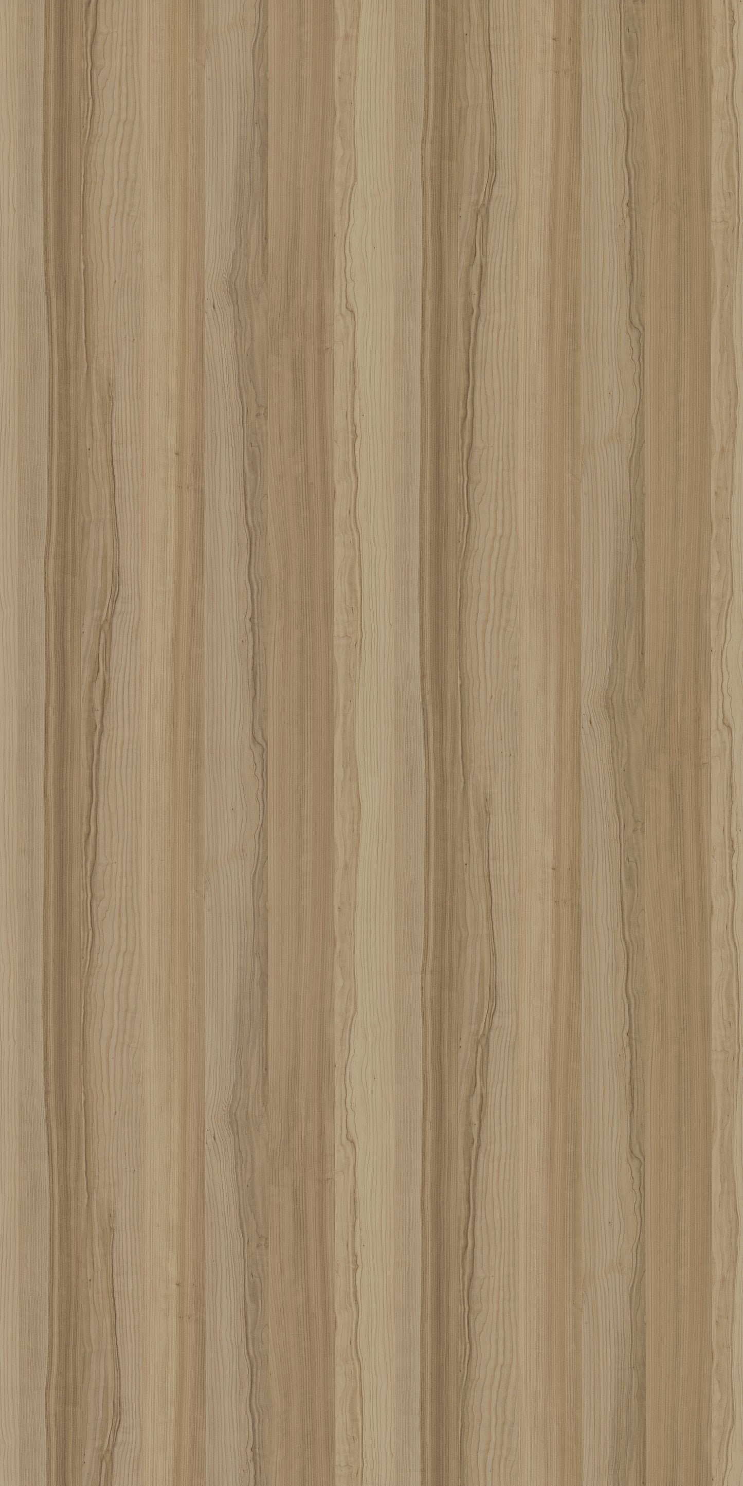 Saket Laminates - 508 - Apple Wood