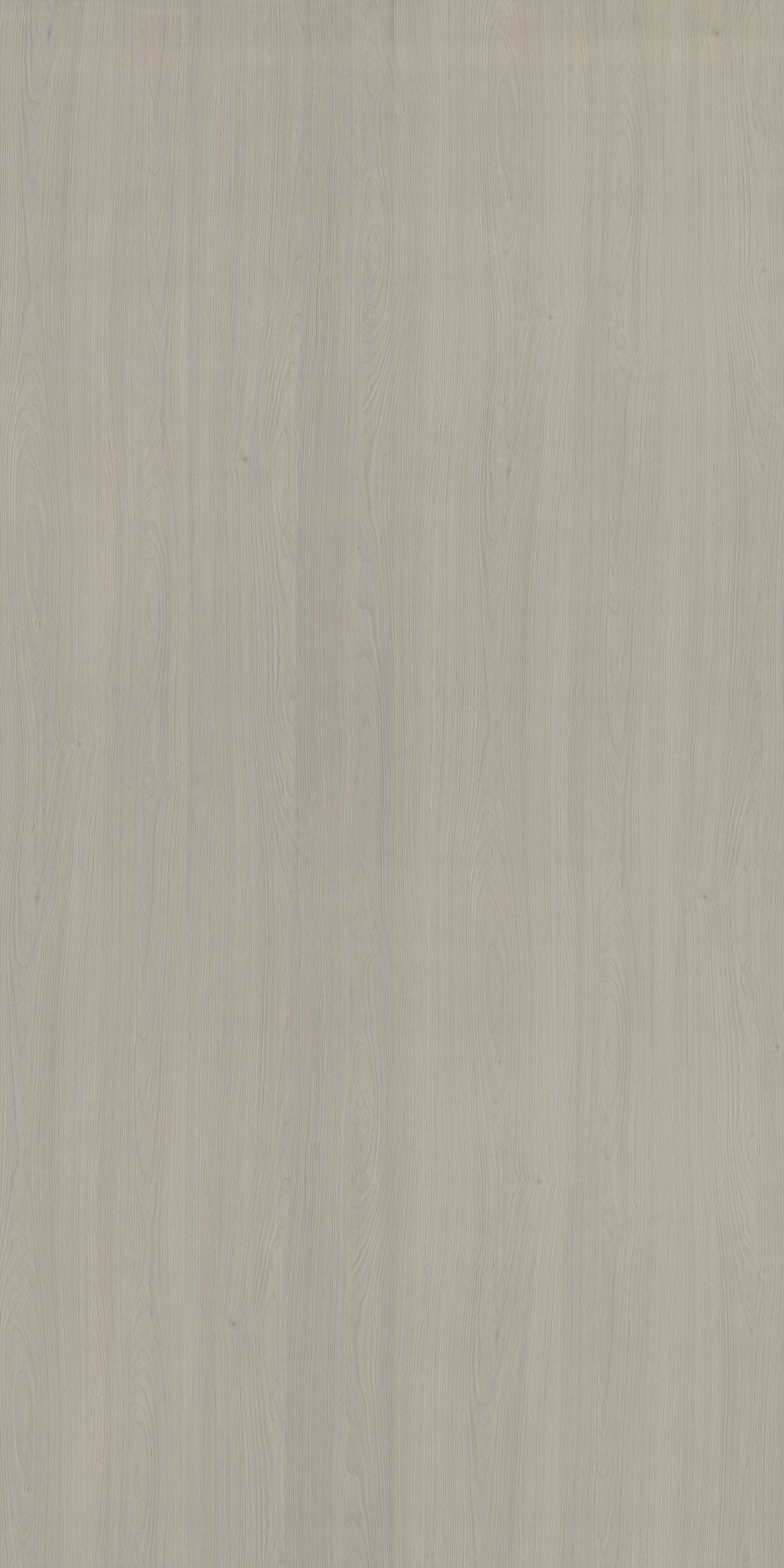 Saket Laminates - 511 - Pearlwood Natural