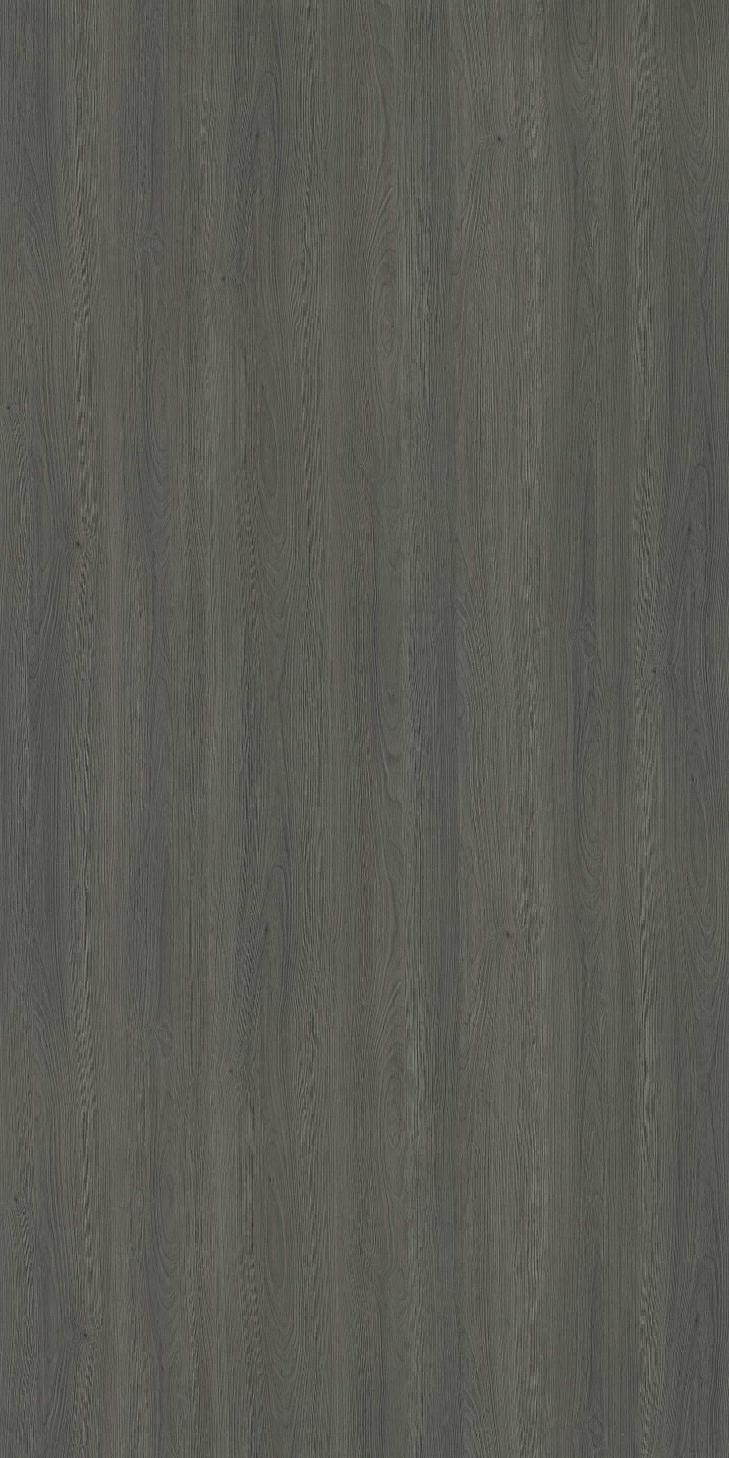 Saket Laminates - 512 - Pearlwood Grey