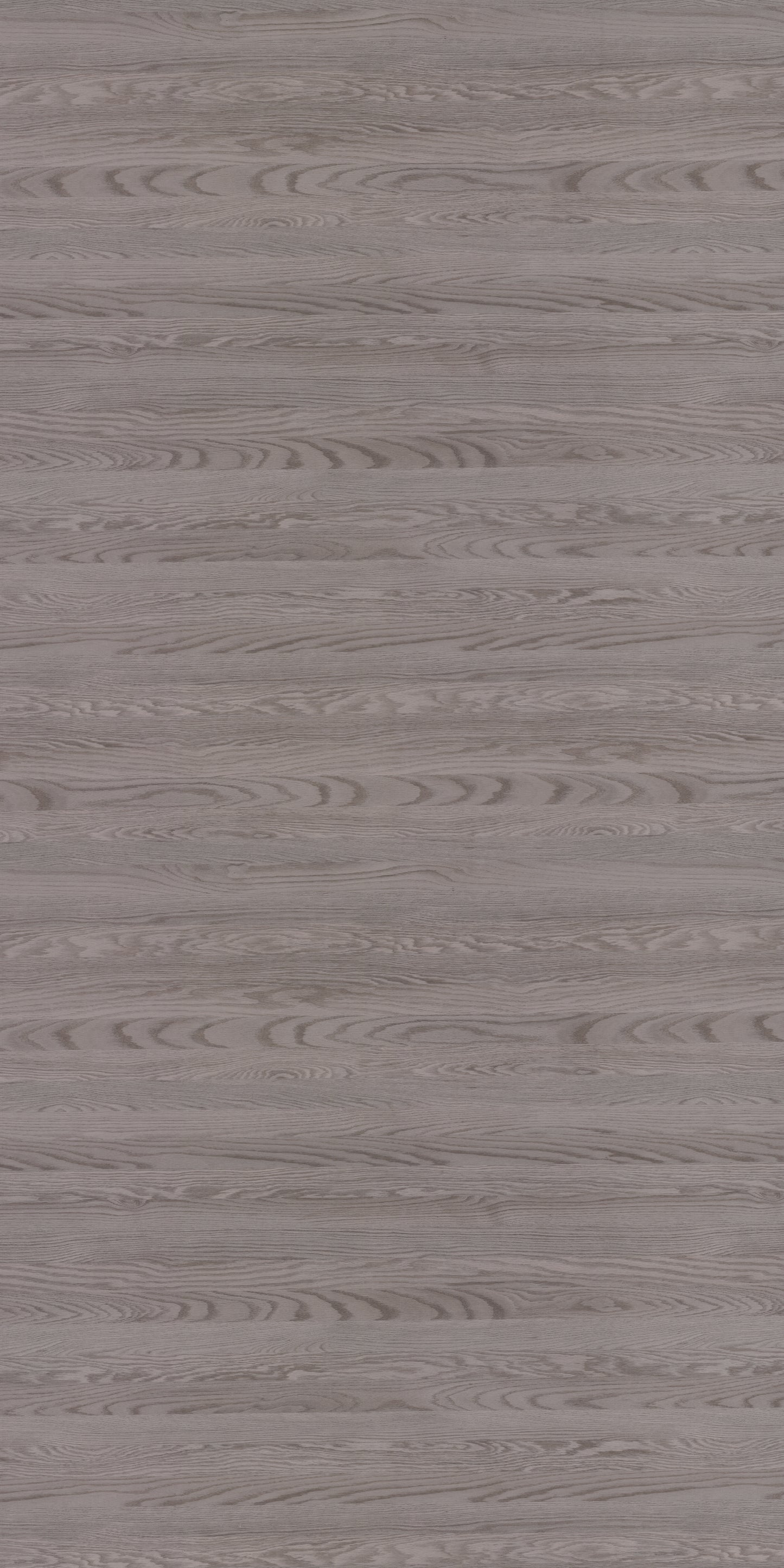 Saket Laminates - 523 - Hz Oak Pebble