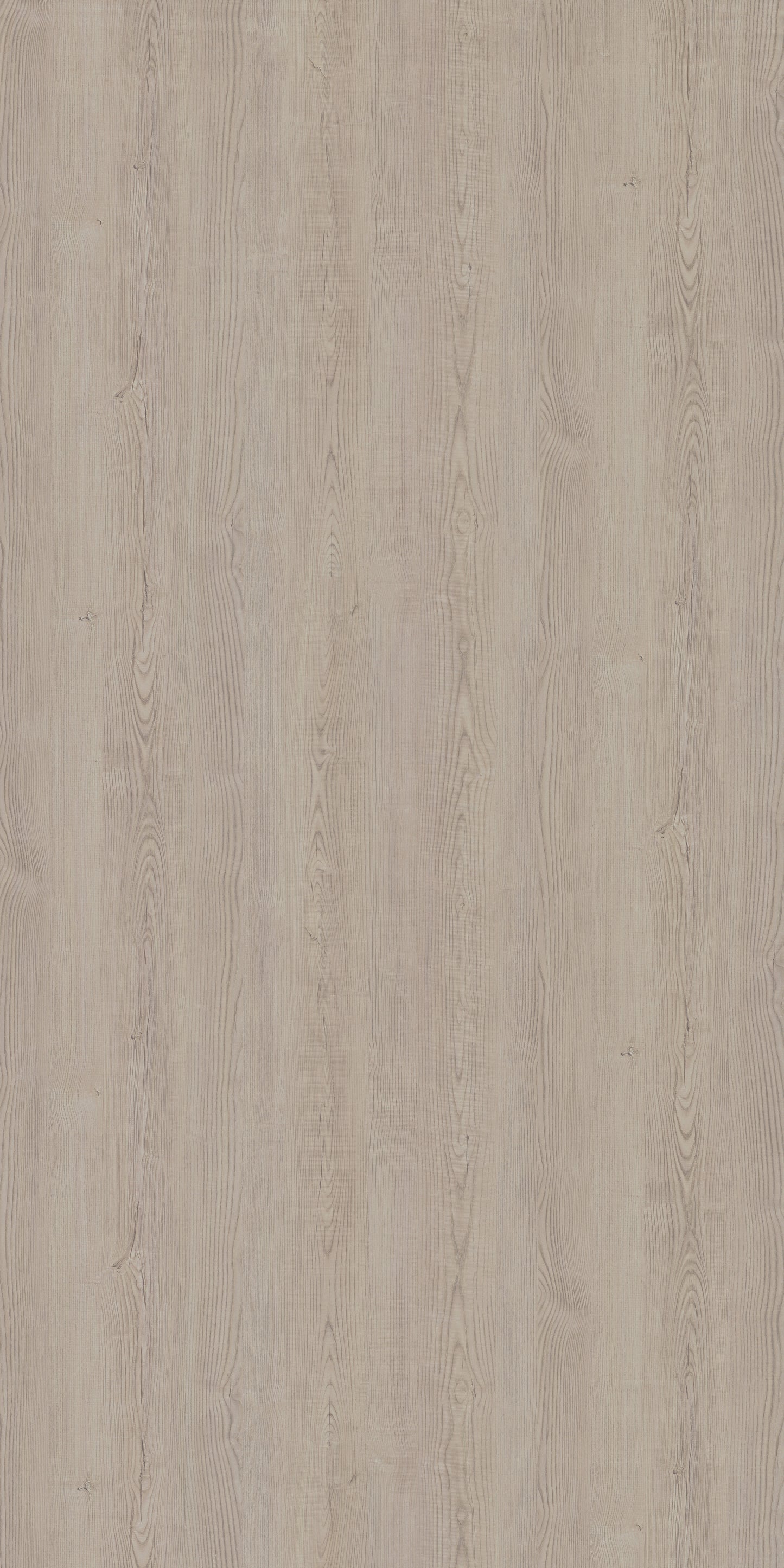 Saket Laminates - 532 - Cedar1