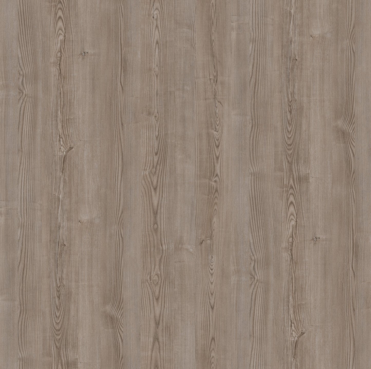 Saket Laminates - 533 - Cedar2