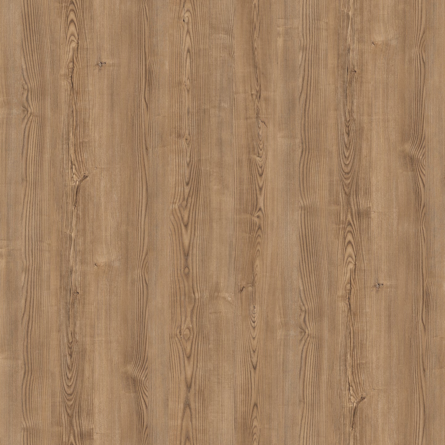Saket Laminates - 534 - Cedar3