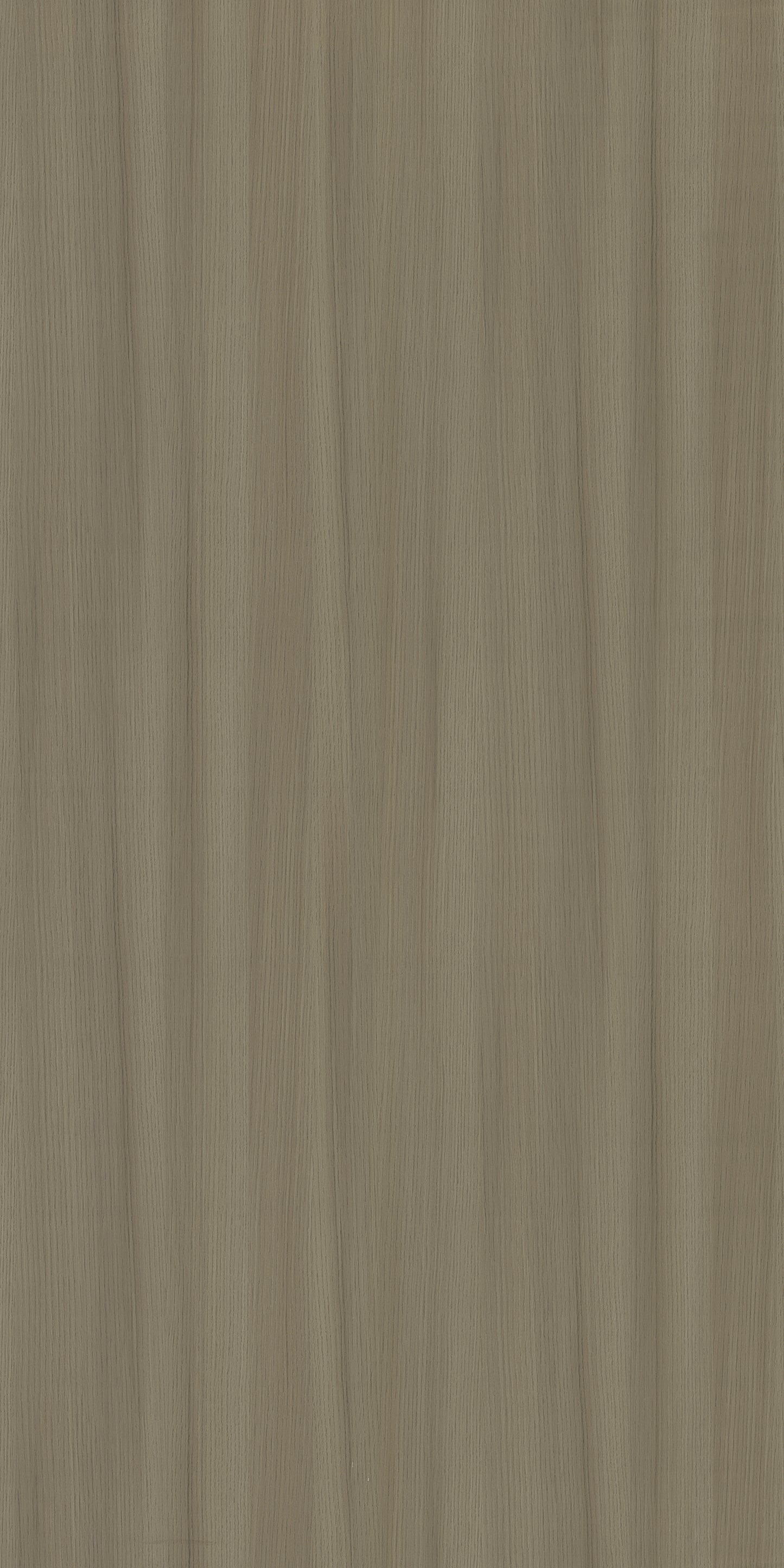 Saket Laminates - 542 - Dyed Ash Caramel