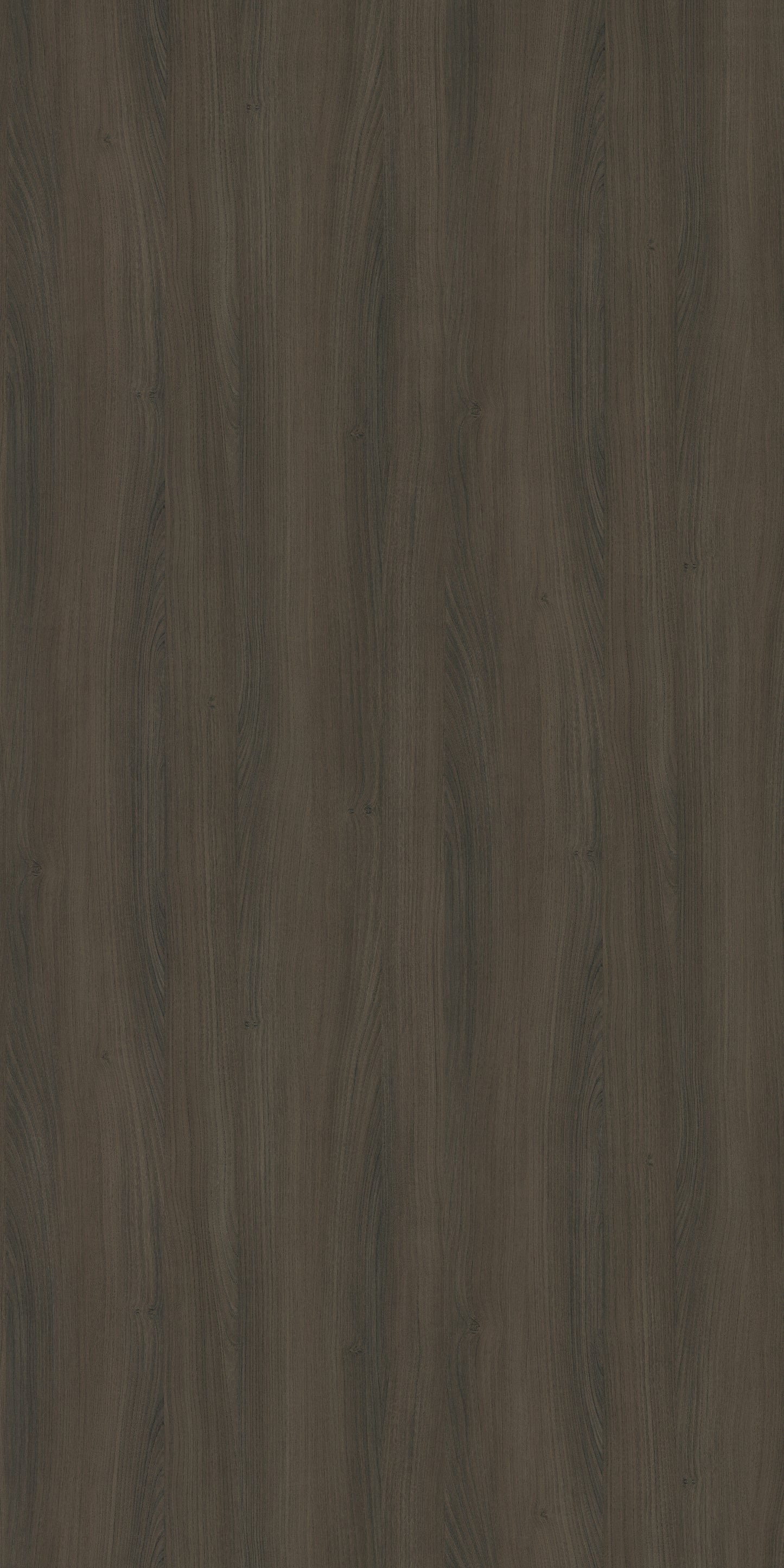 Saket Laminates - 546 - Ash Dark