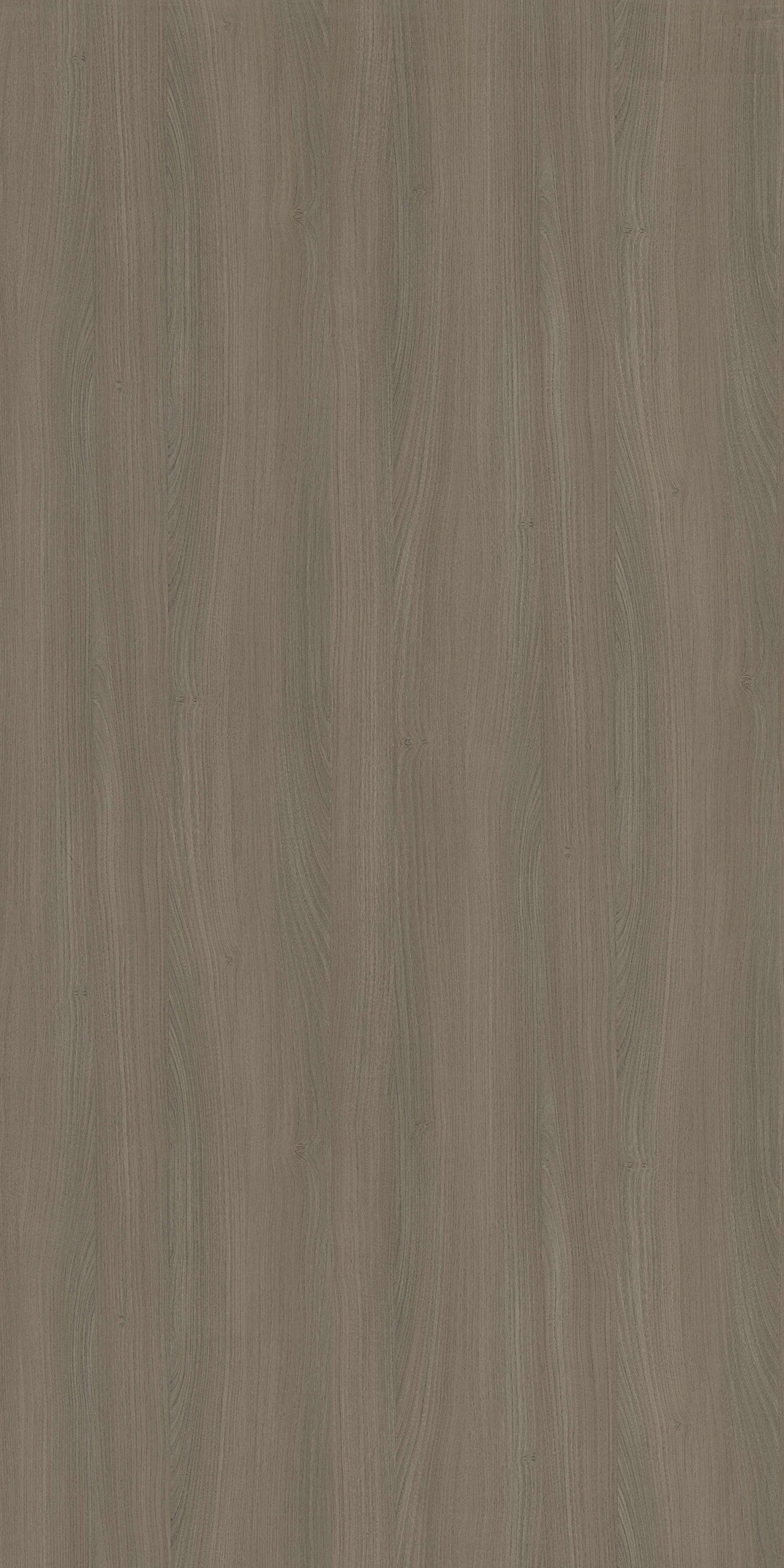 Saket Laminates - 547 - Ash Light