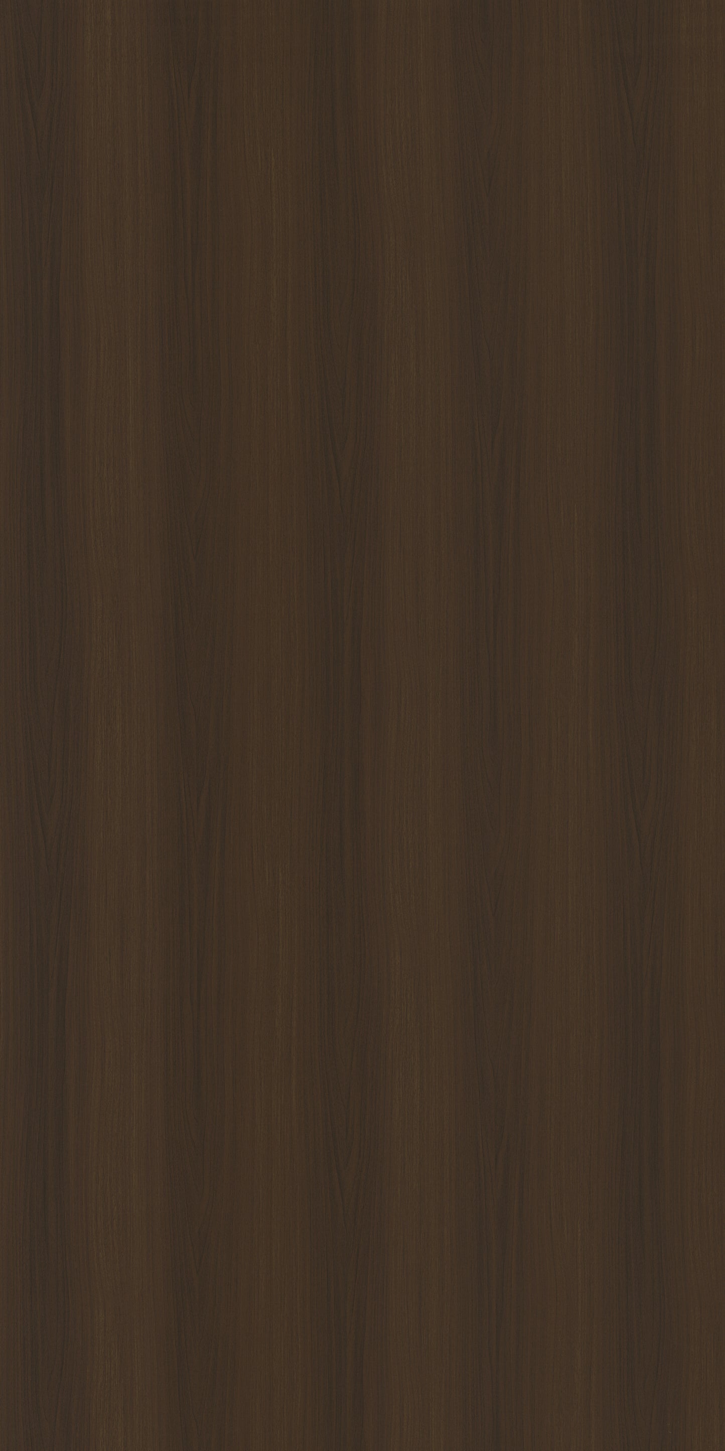 Saket Laminates - 551 - Victorian Eucolypto