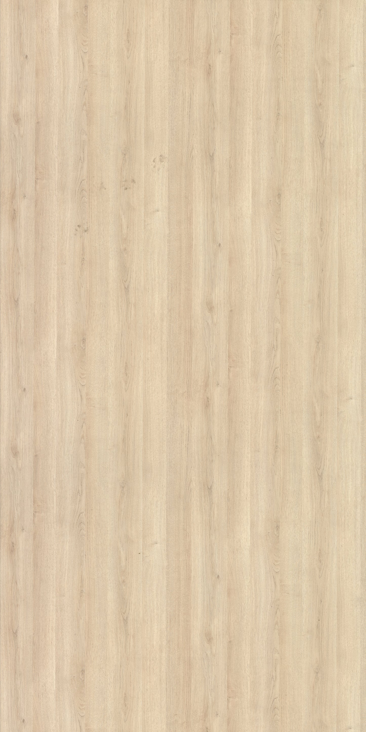 Saket Laminates - 553 - Laurel Oak 1