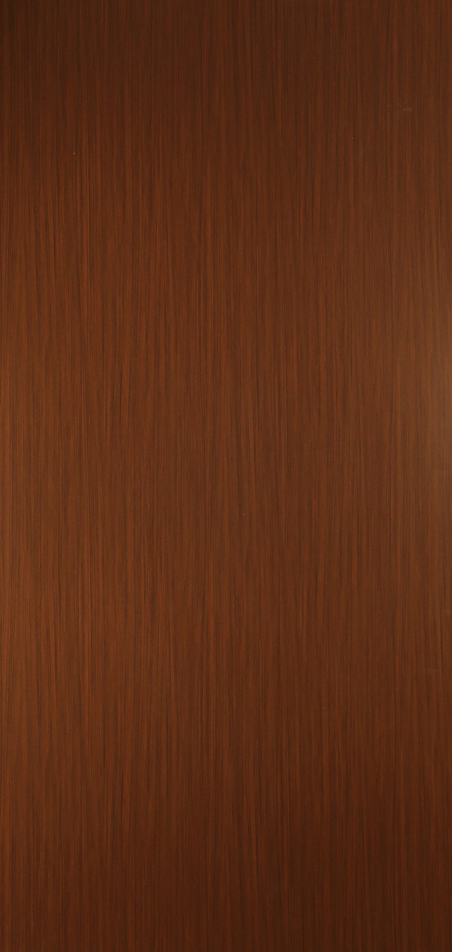Saket Laminates - 558 - Coastal Oak