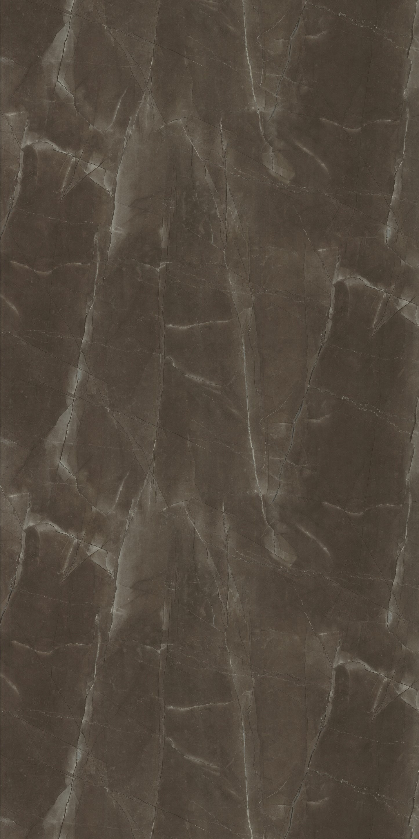 Saket Laminates - 573 - Grigio Emperador