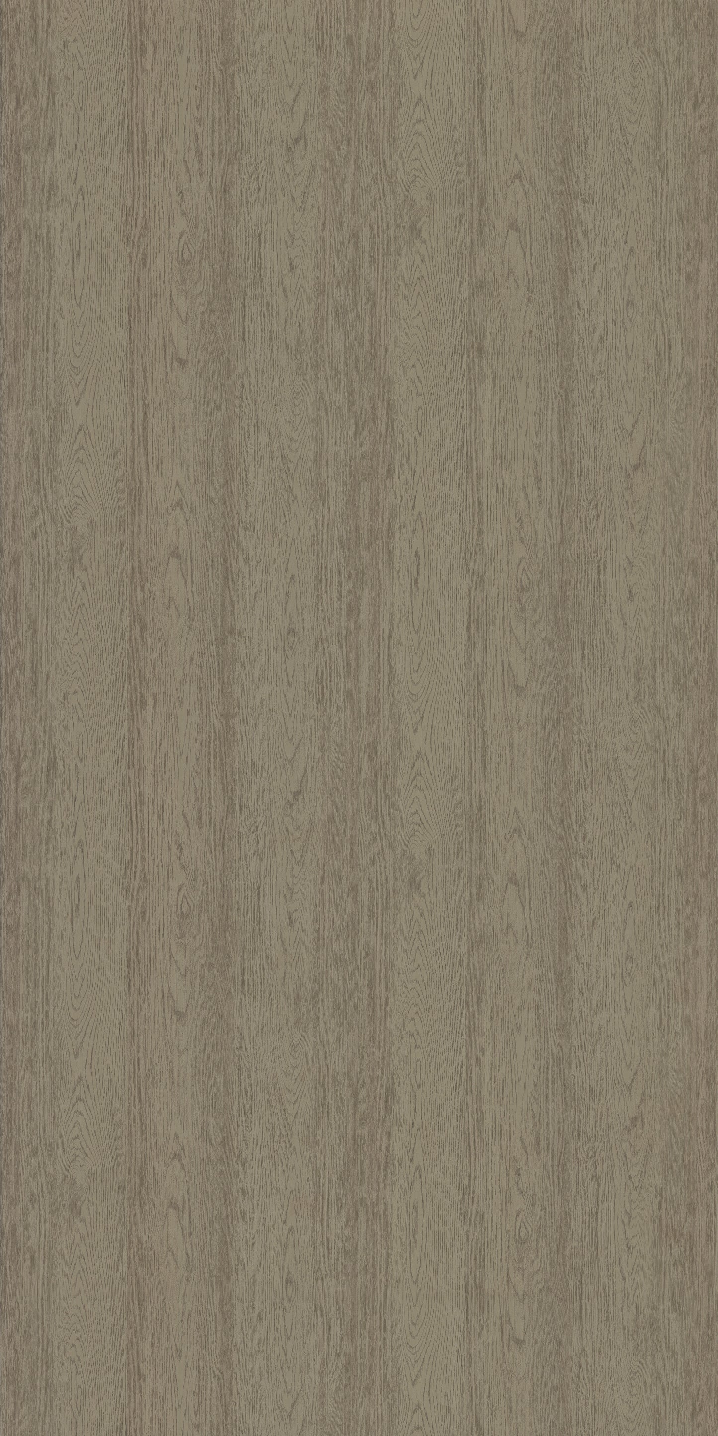 Saket Laminates - 575 - California Elm