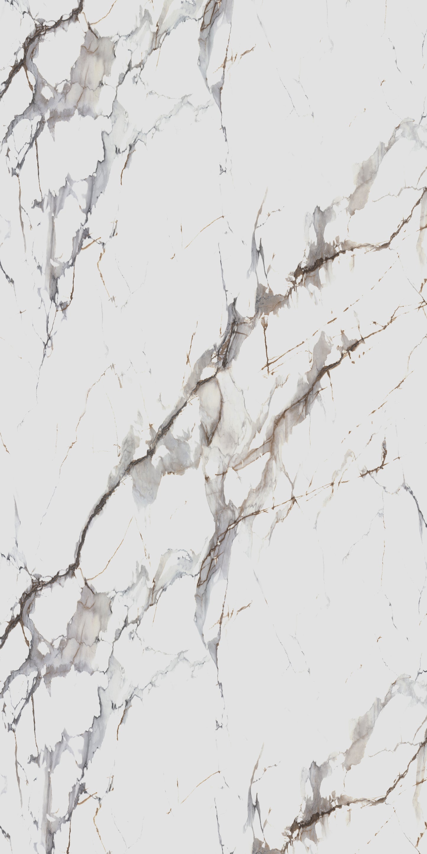 Saket Laminates - 584 - Molta Bianca