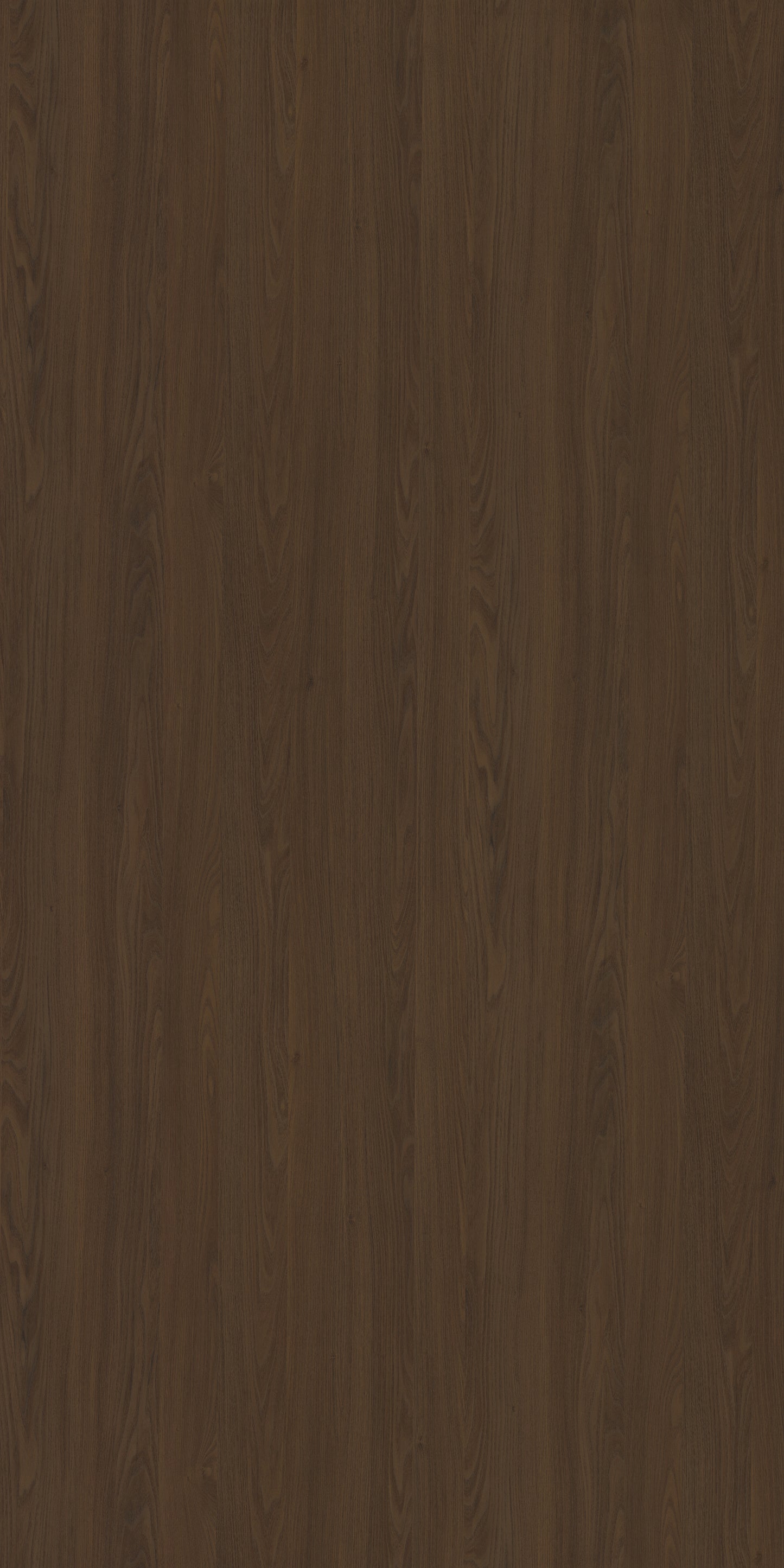Saket Laminates - 587 - Lavito Walnut Dark
