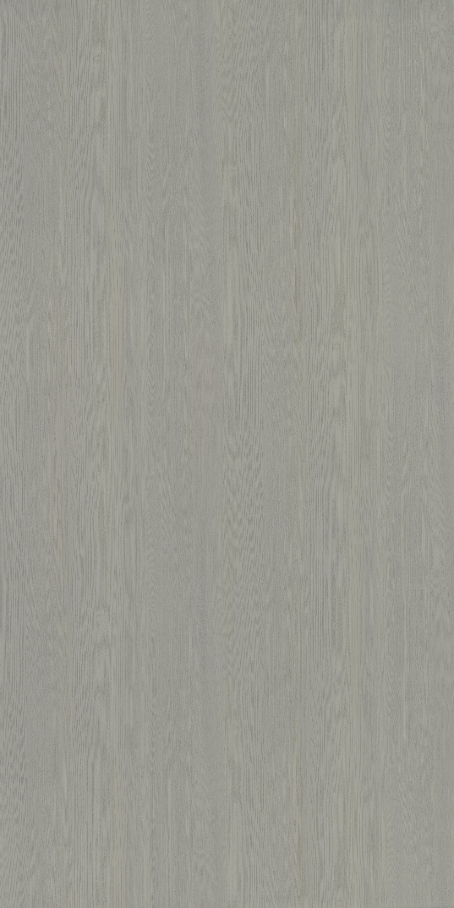 Saket Laminates - 597 - Ashwood Light