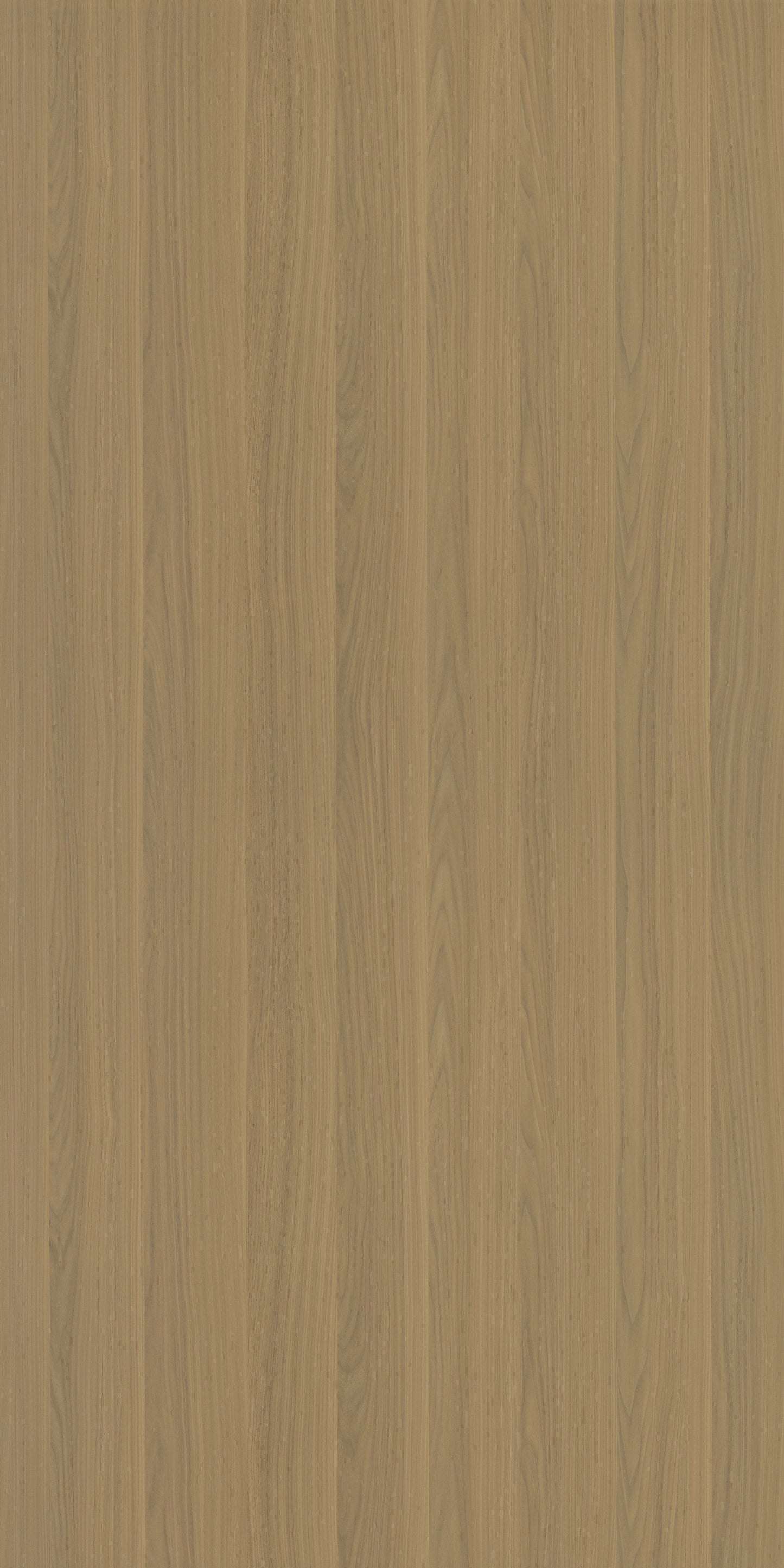 Saket Laminates - 604 - Olmo Walnut Light