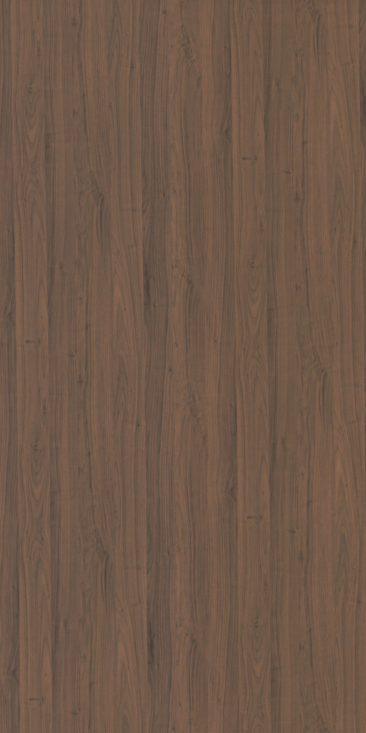Saket Laminates - 616 - Carini Walnut