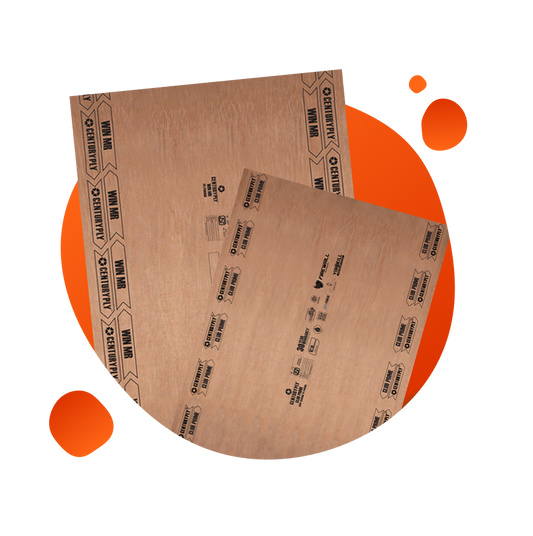 The Top Selling Products of Century Plyboards Company in the Indian Market