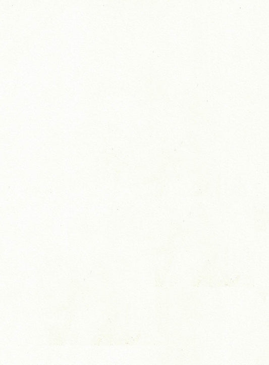Saket Laminates - 402 - Frosty White