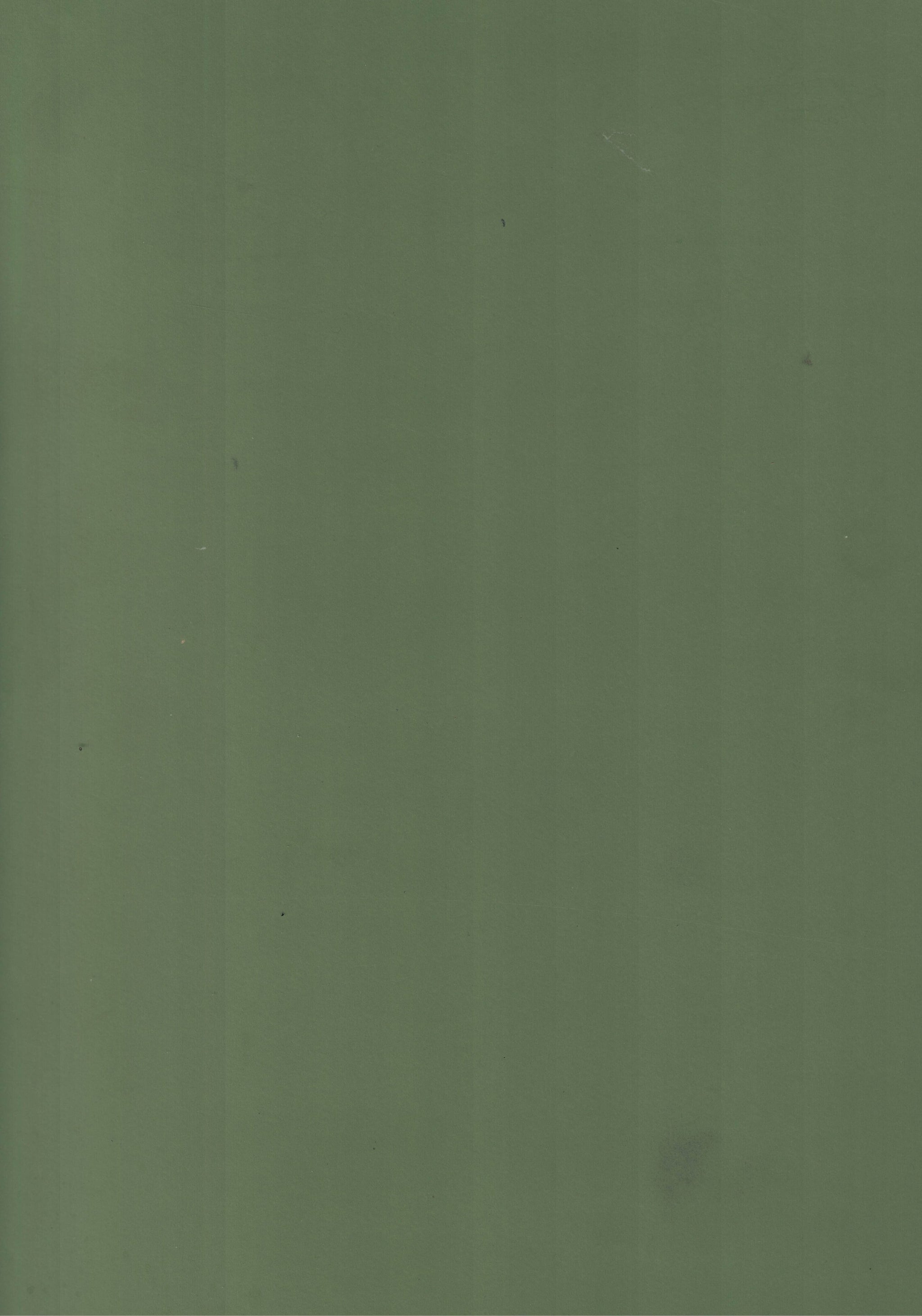 Saket Laminates - 433 - Eucalyptus Green