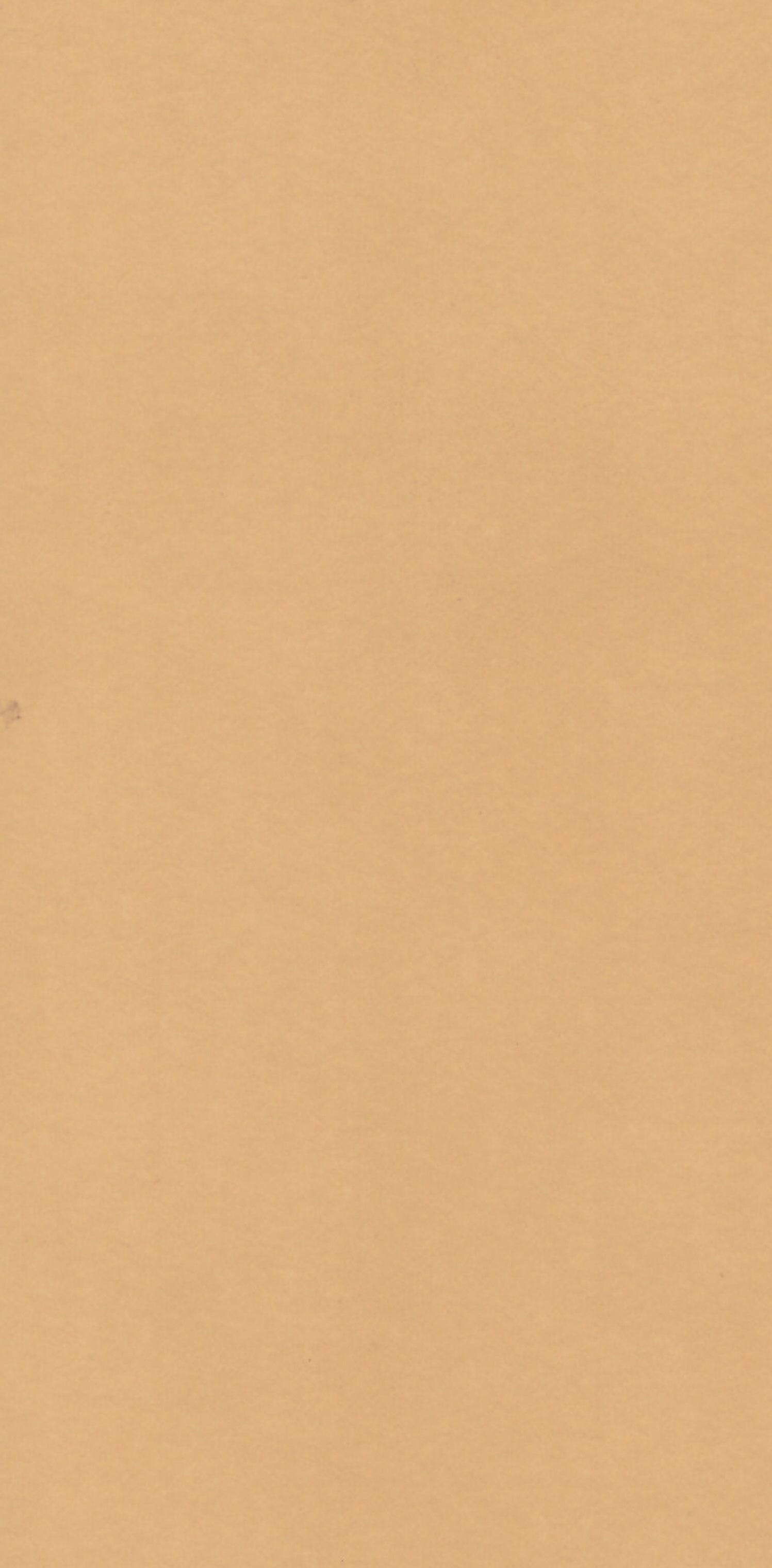 Saket Laminates - 441 - Pavlova
