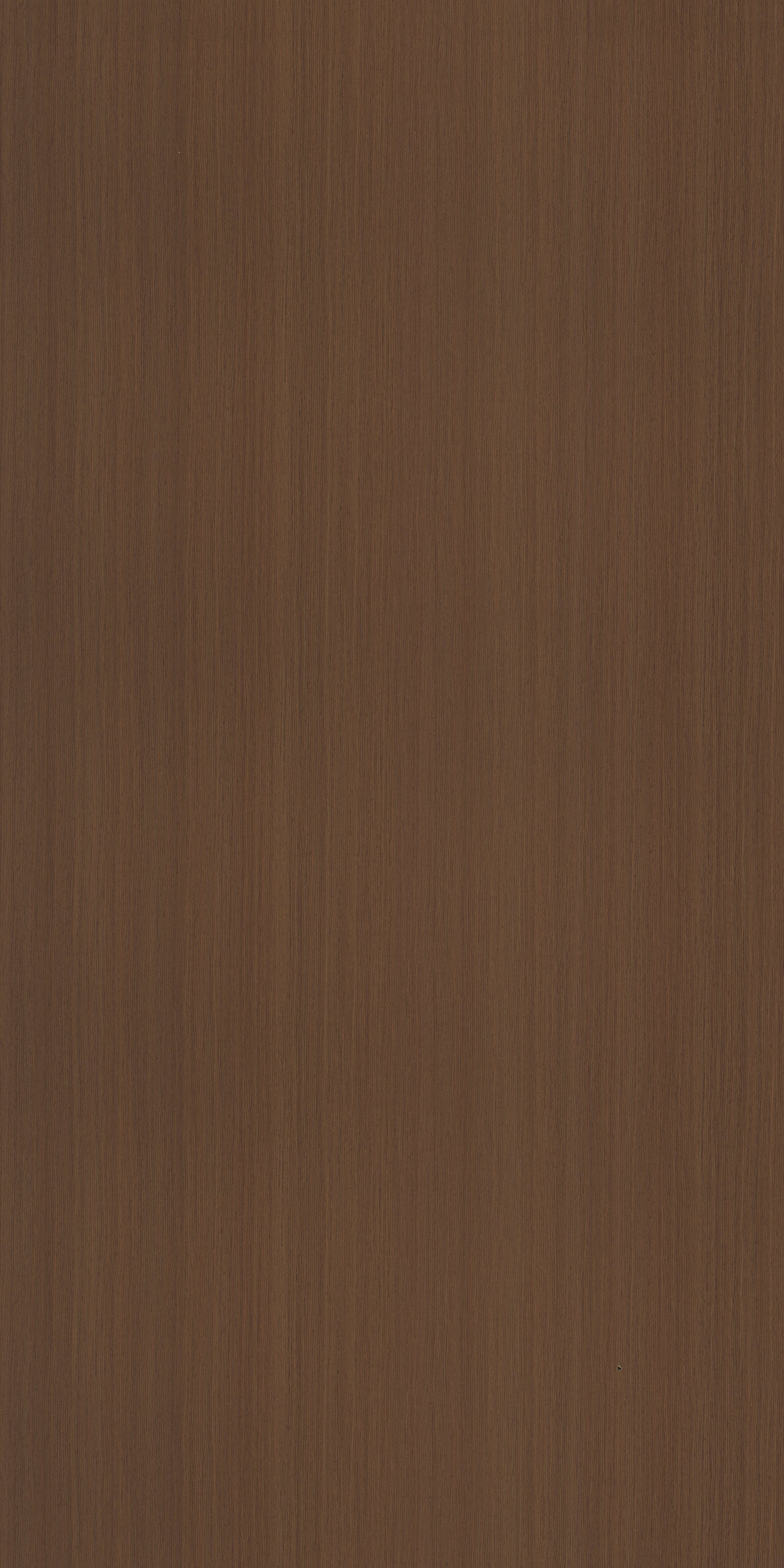 Saket Laminates - 503 - Swedish Oak 3