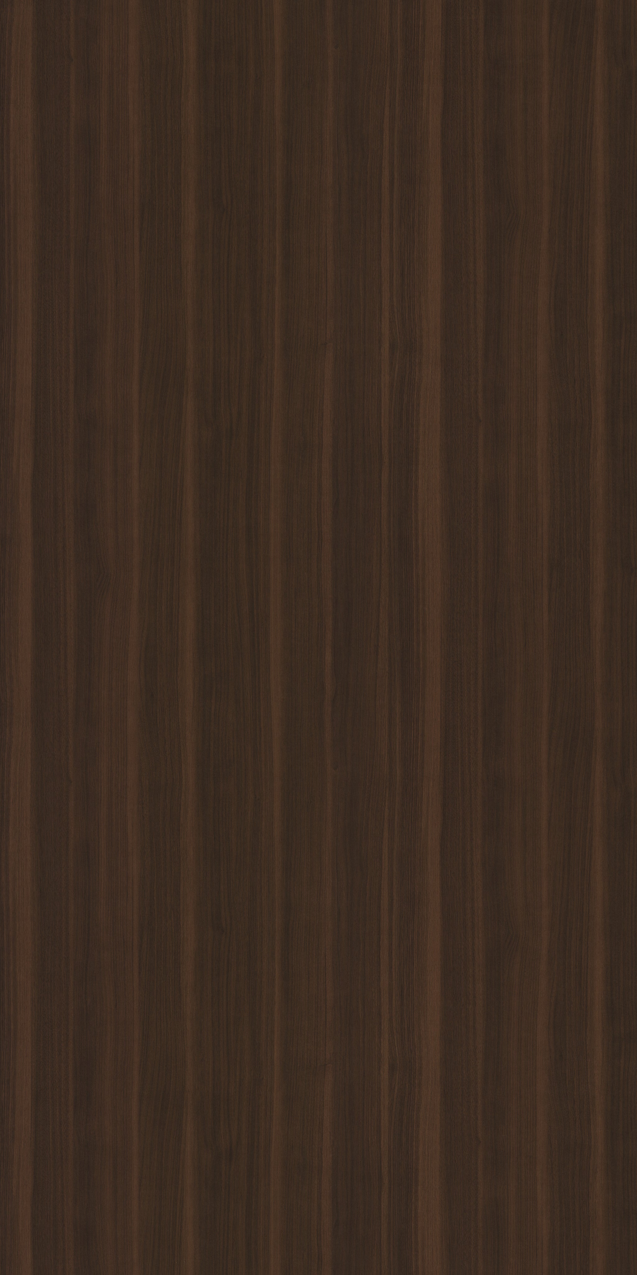 Saket Laminates - 504 - Amber Wood