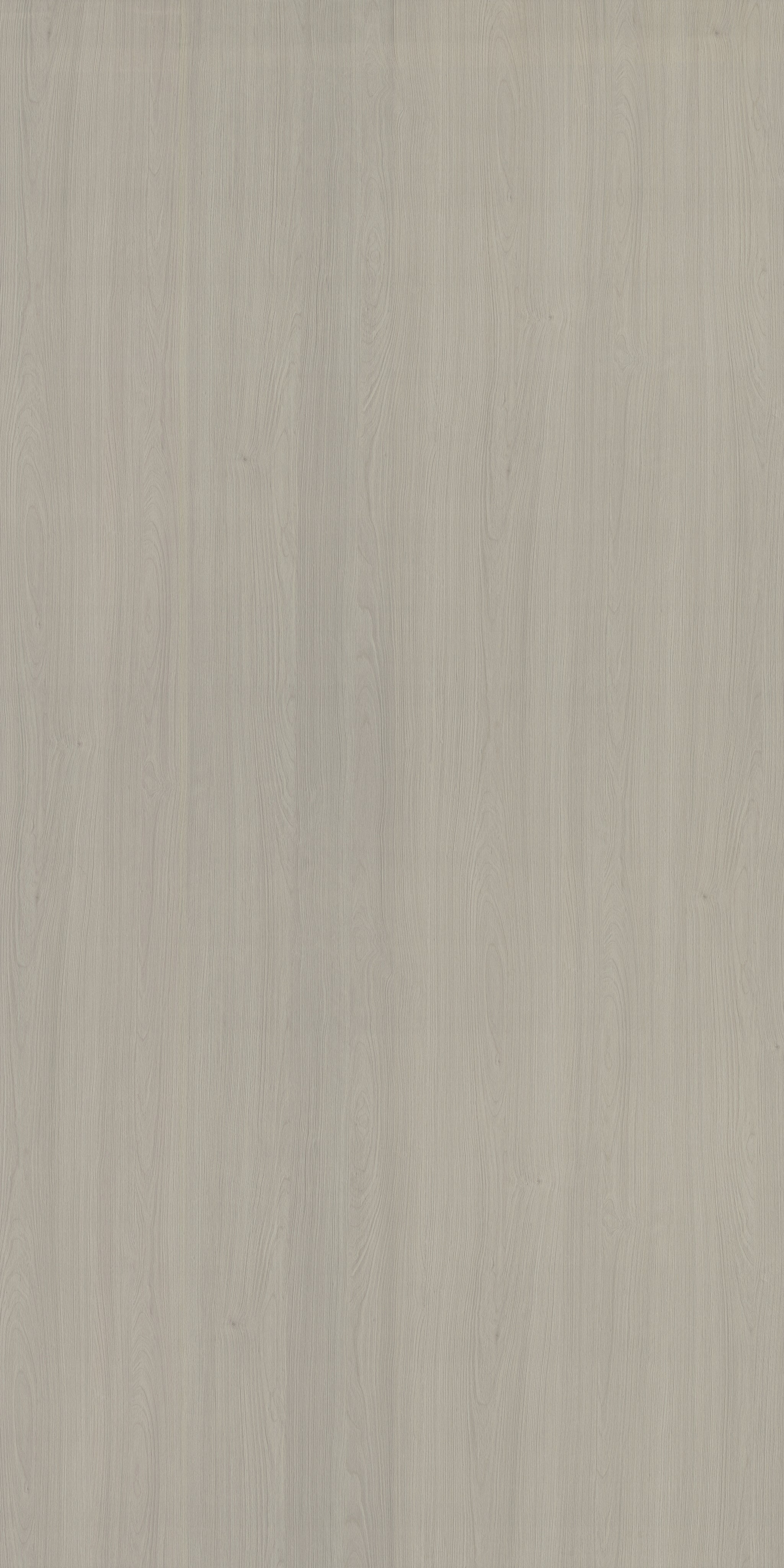 Saket Laminates - 511 - Pearlwood Natural