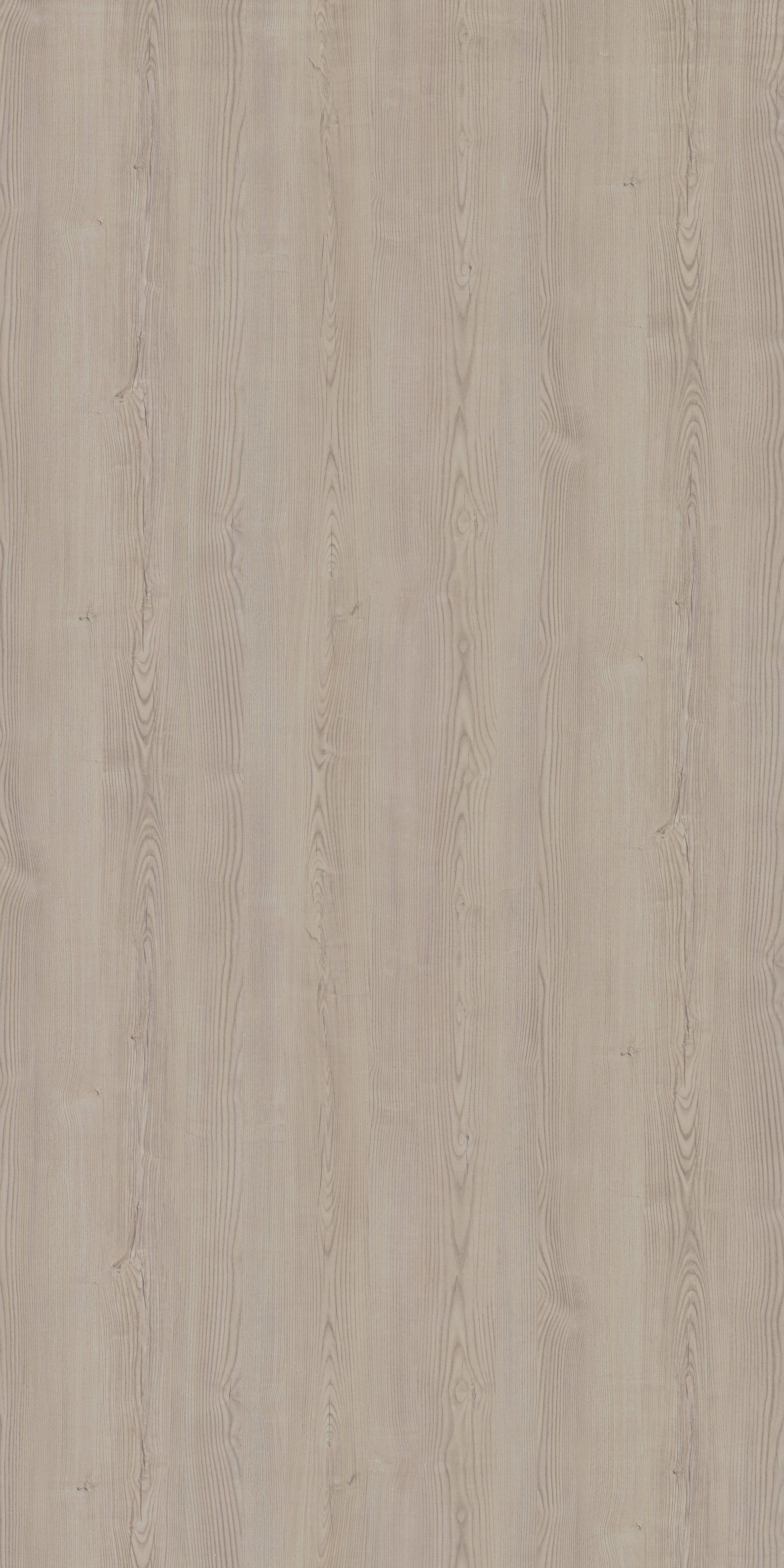 Saket Laminates - 532 - Cedar1