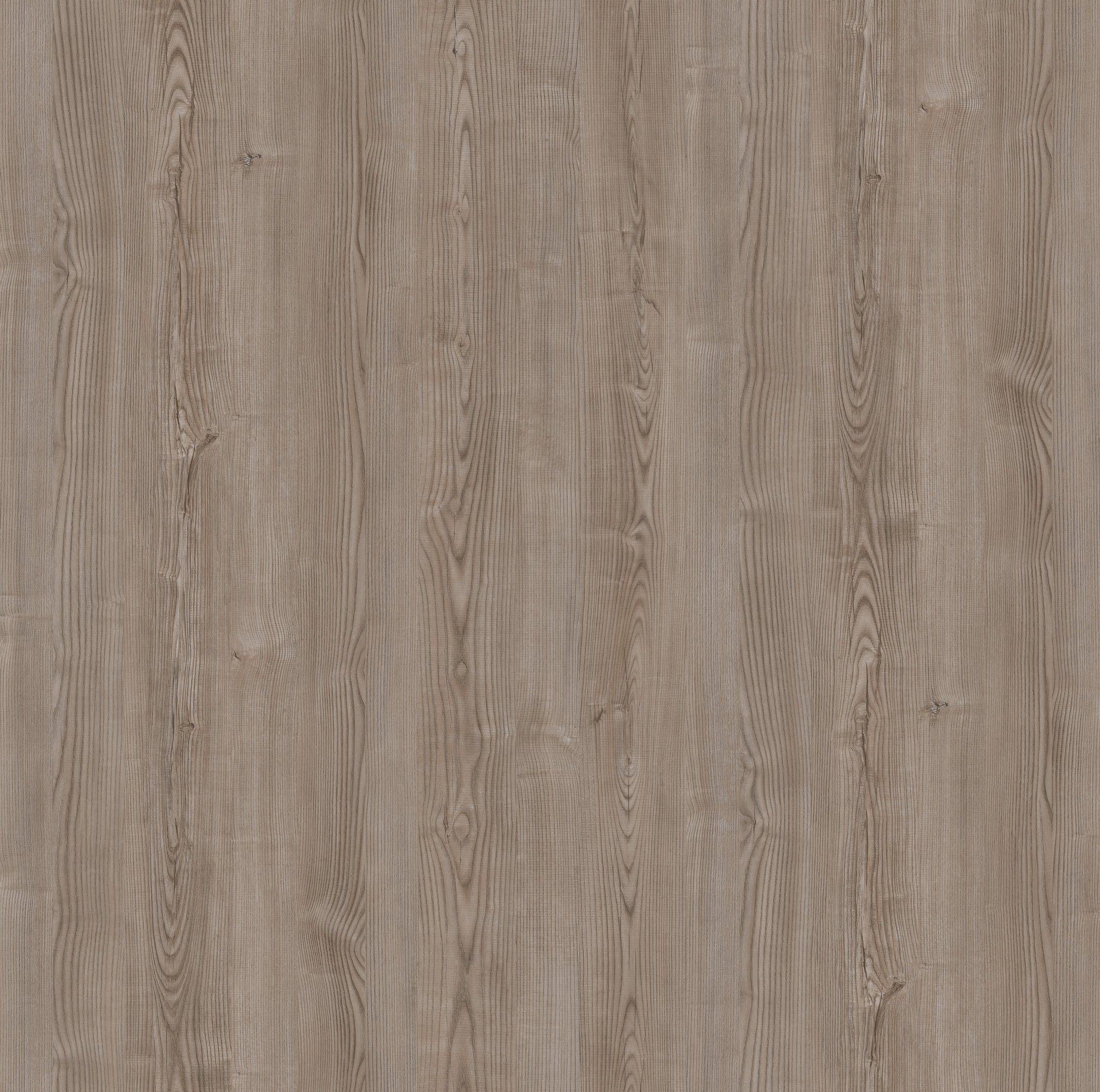 Saket Laminates - 533 - Cedar2