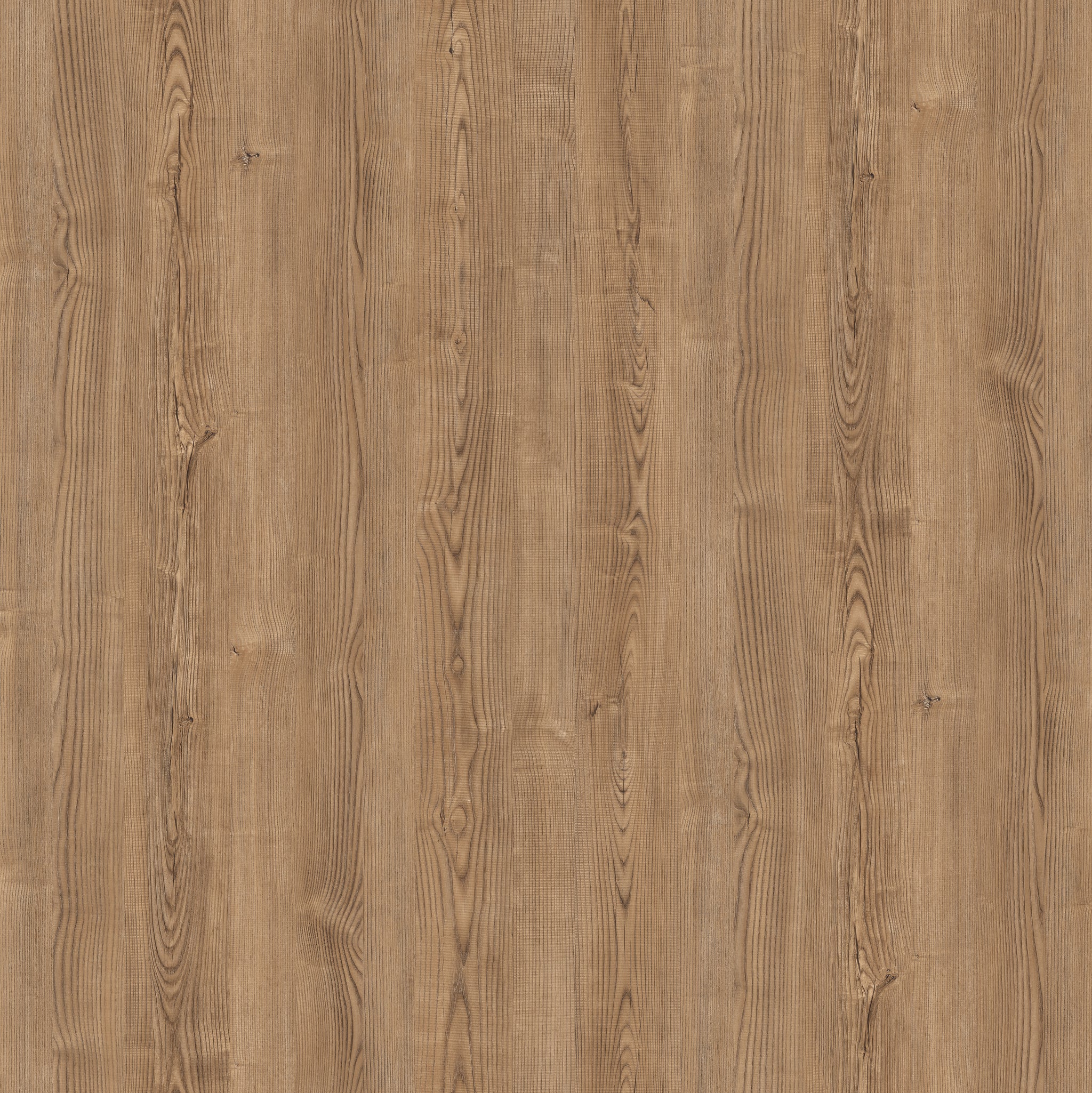 Saket Laminates - 534 - Cedar3