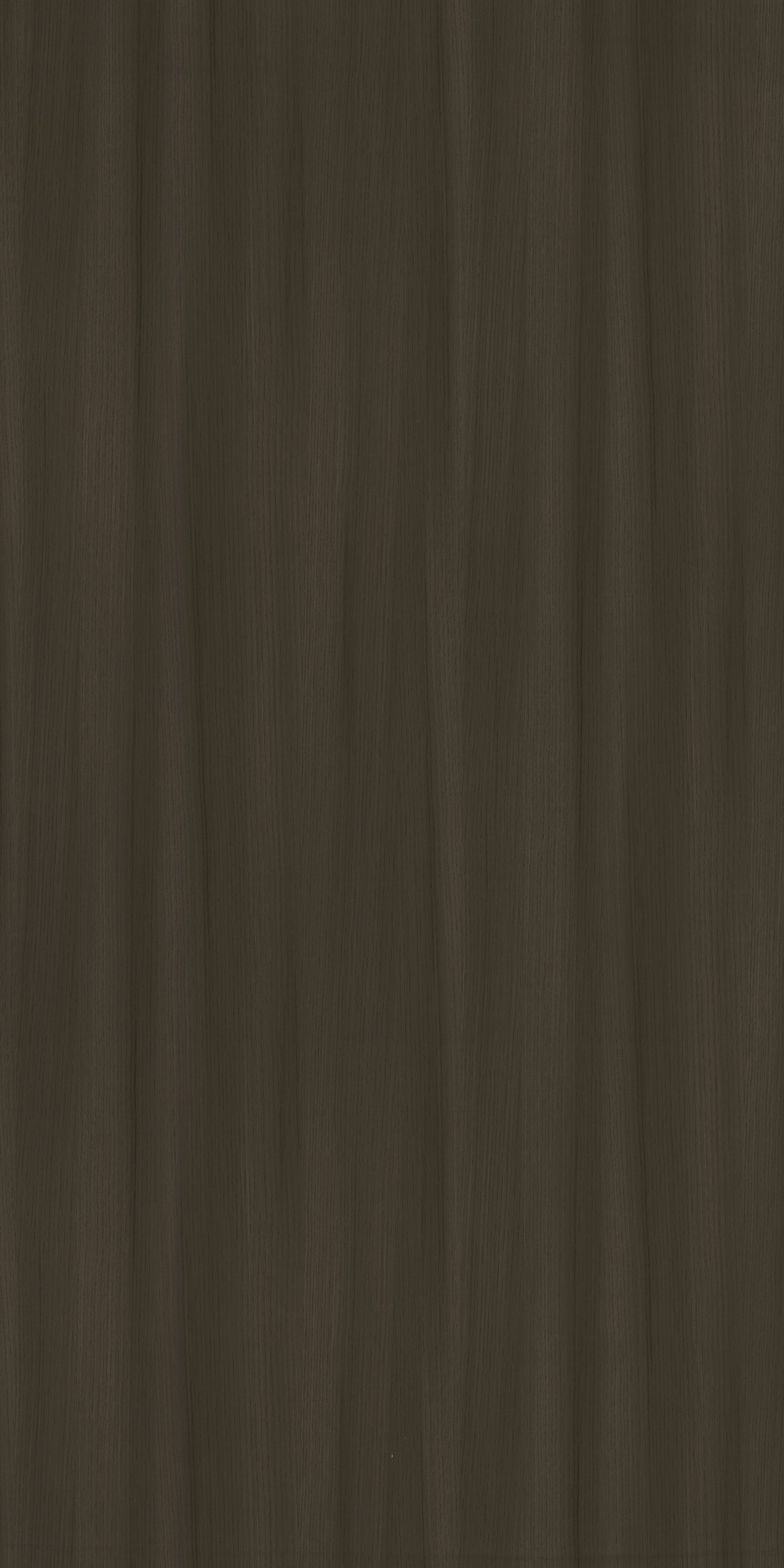 Saket Laminates - 543 - Dyed Ash Coffee