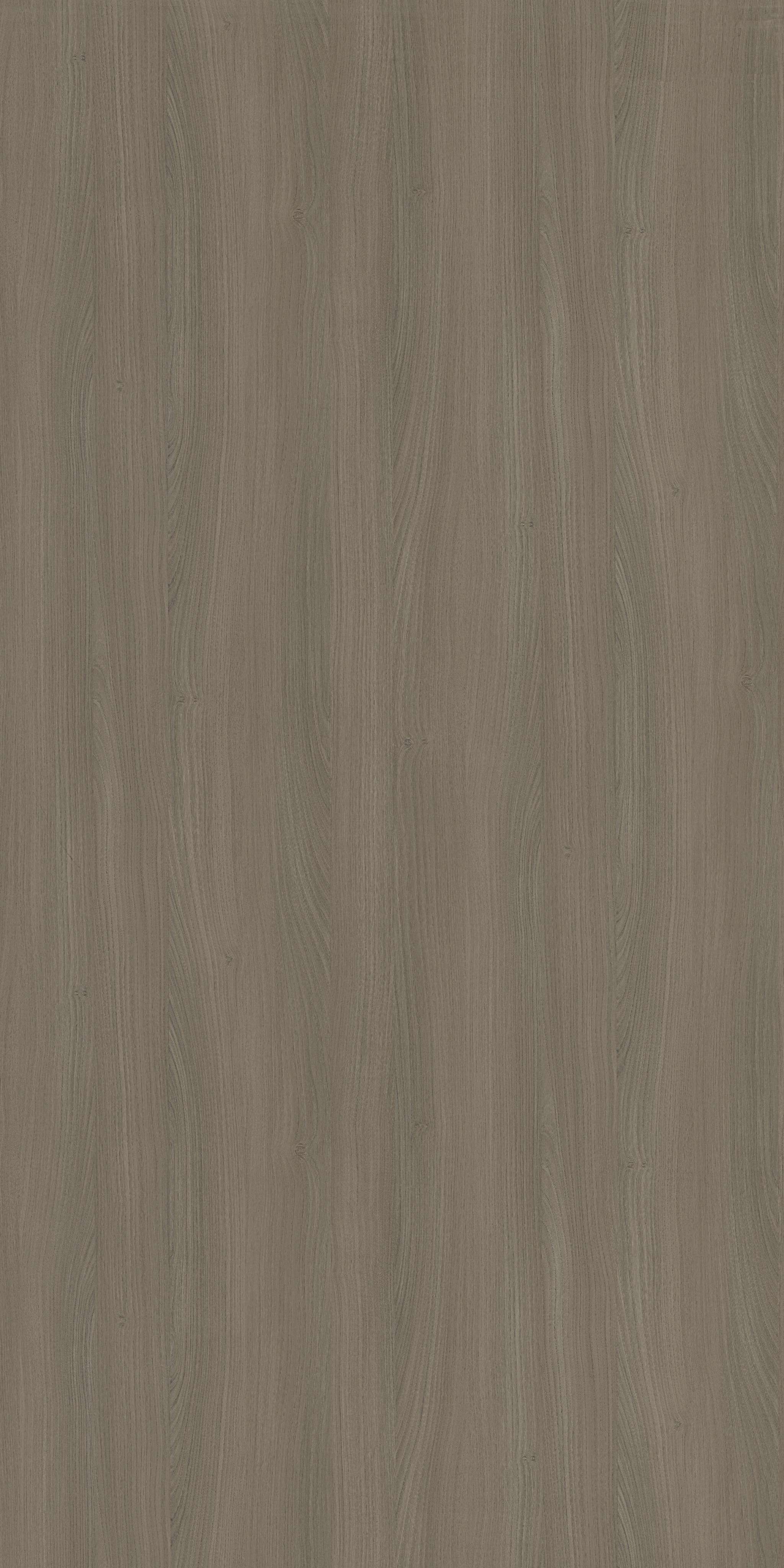 Saket Laminates - 547 - Ash Light