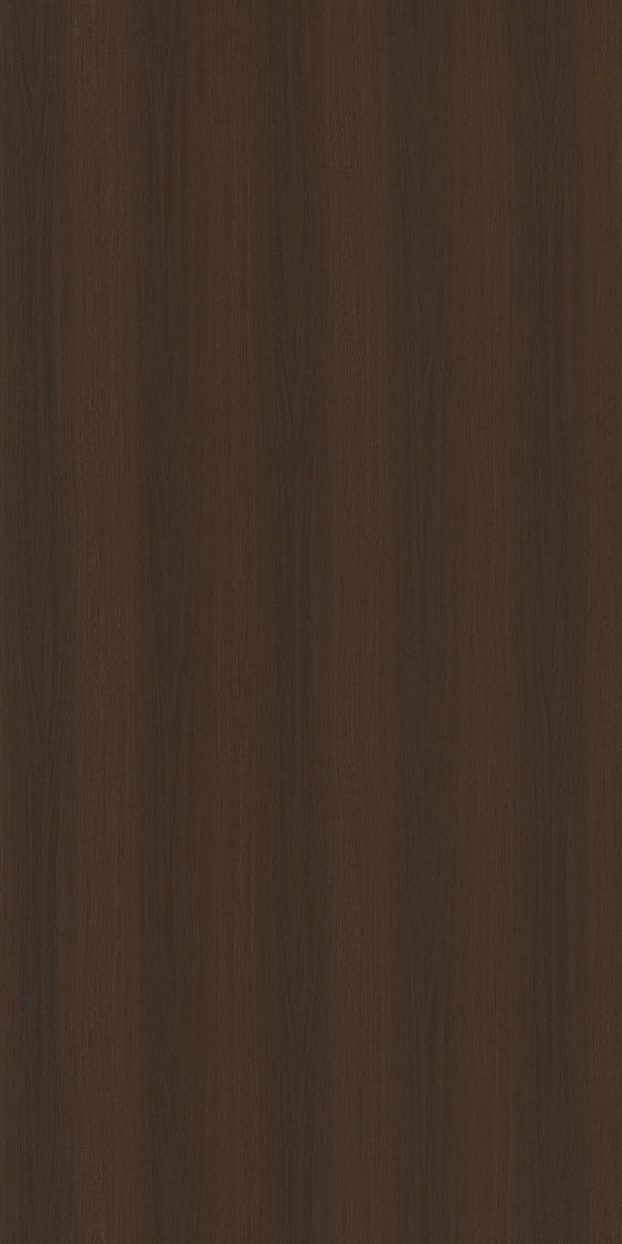 Saket Laminates - 551 - Victorian Eucolypto