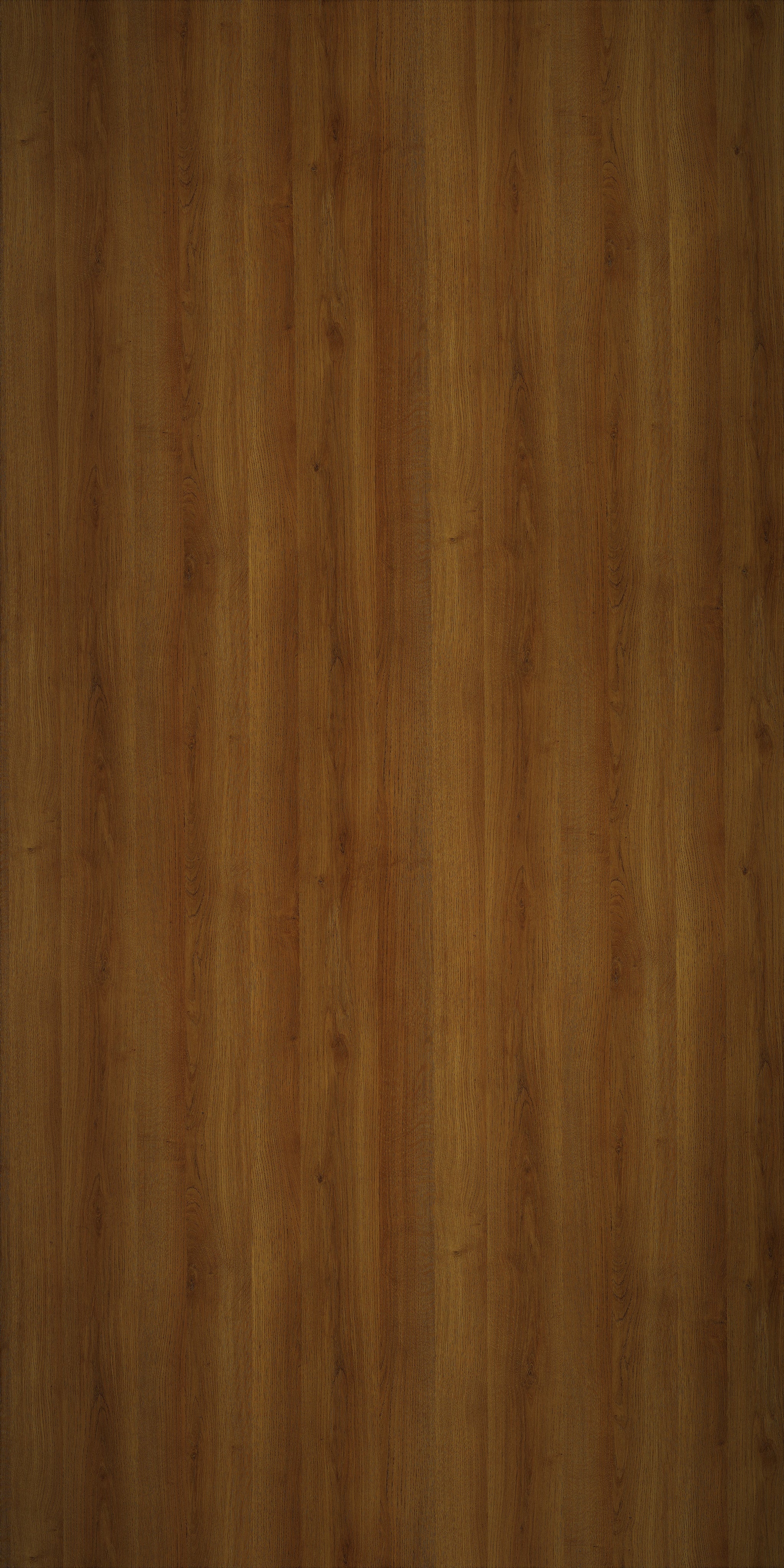 Saket Laminates - 555 - Laurel Oak 3