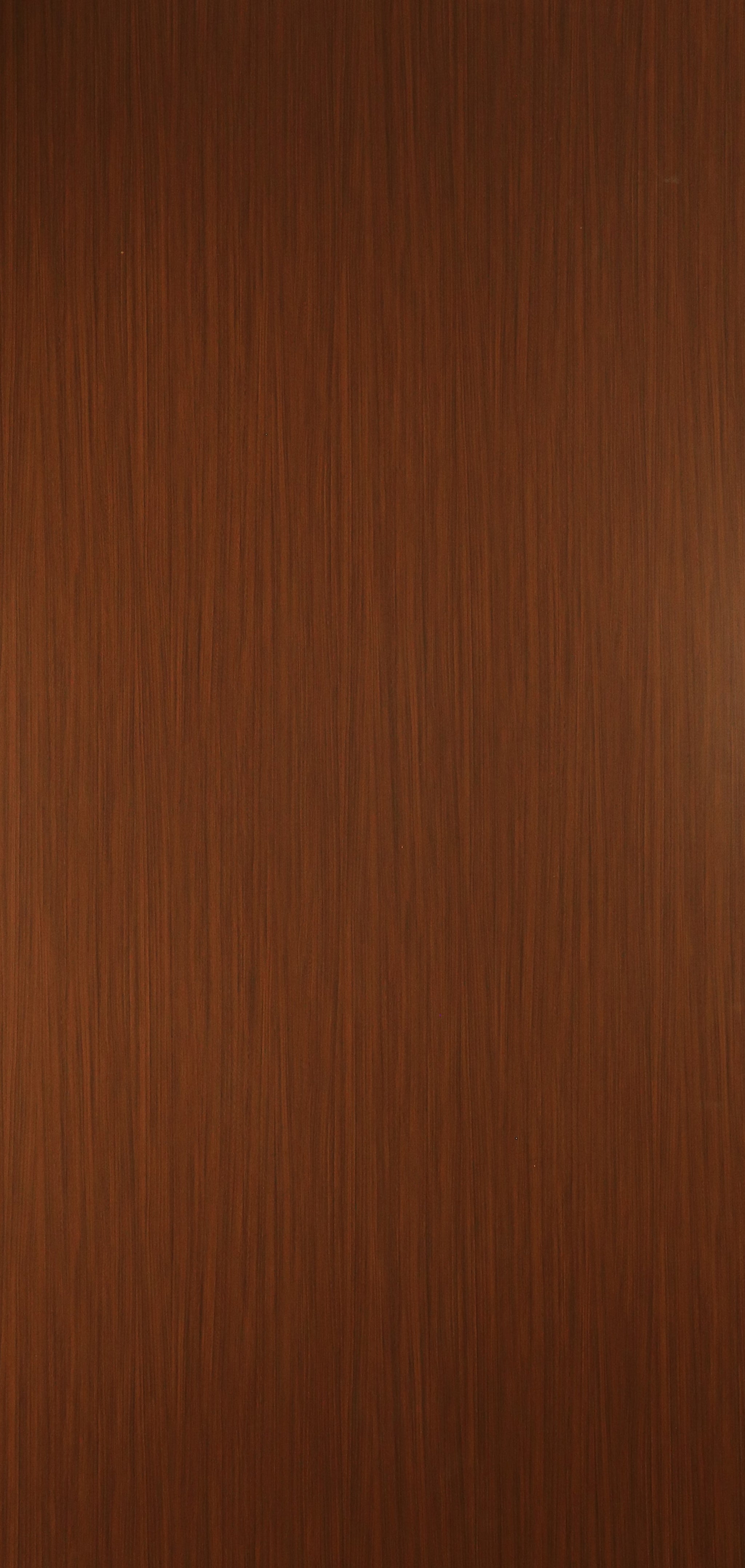 Saket Laminates - 558 - Coastal Oak