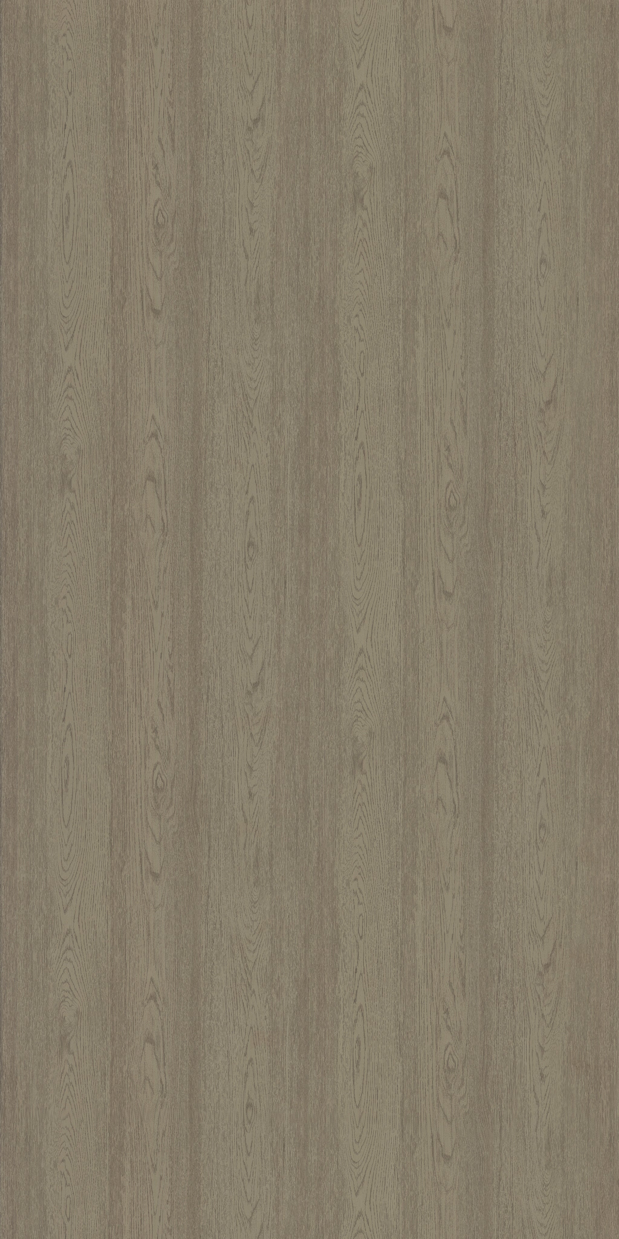 Saket Laminates - 575 - California Elm