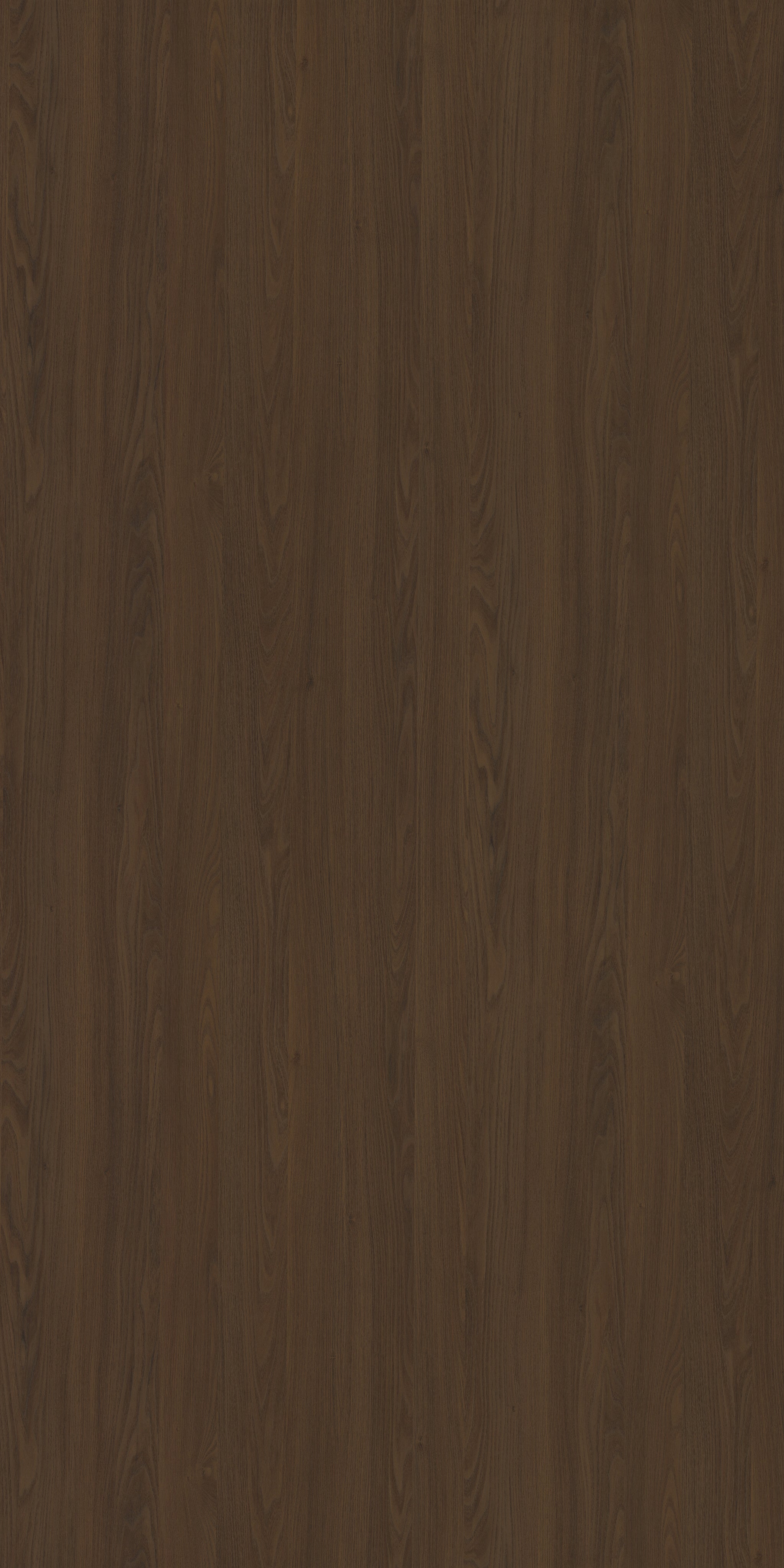 Saket Laminates - 587 - Lavito Walnut Dark