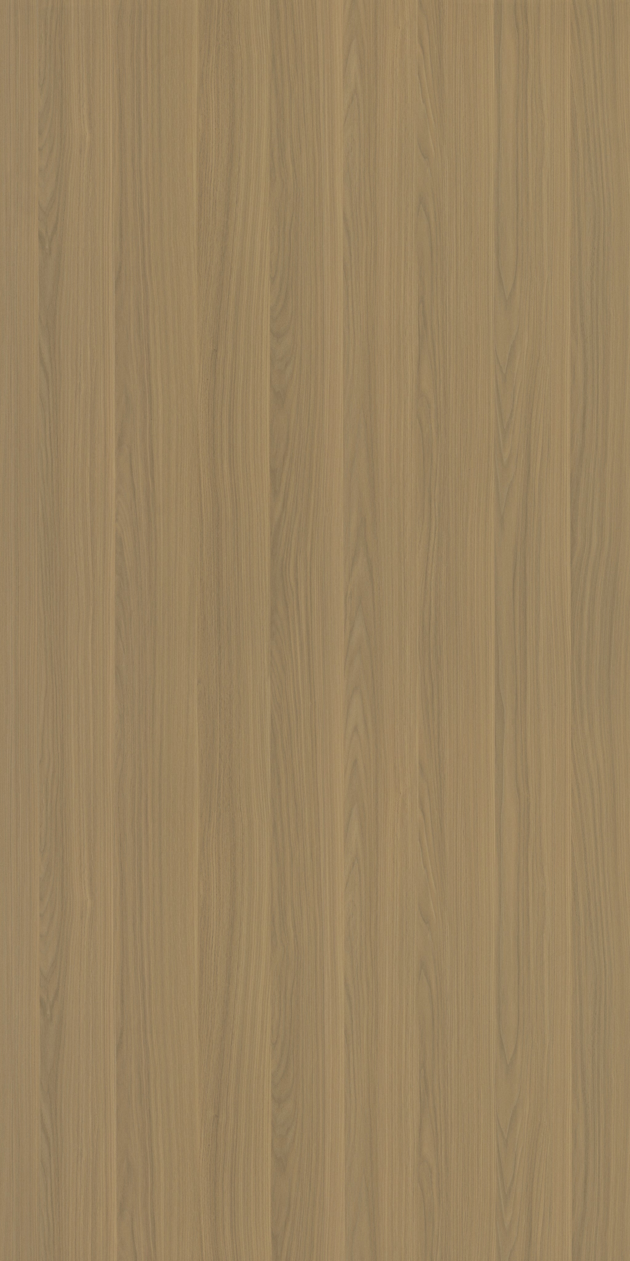 Saket Laminates - 604 - Olmo Walnut Light